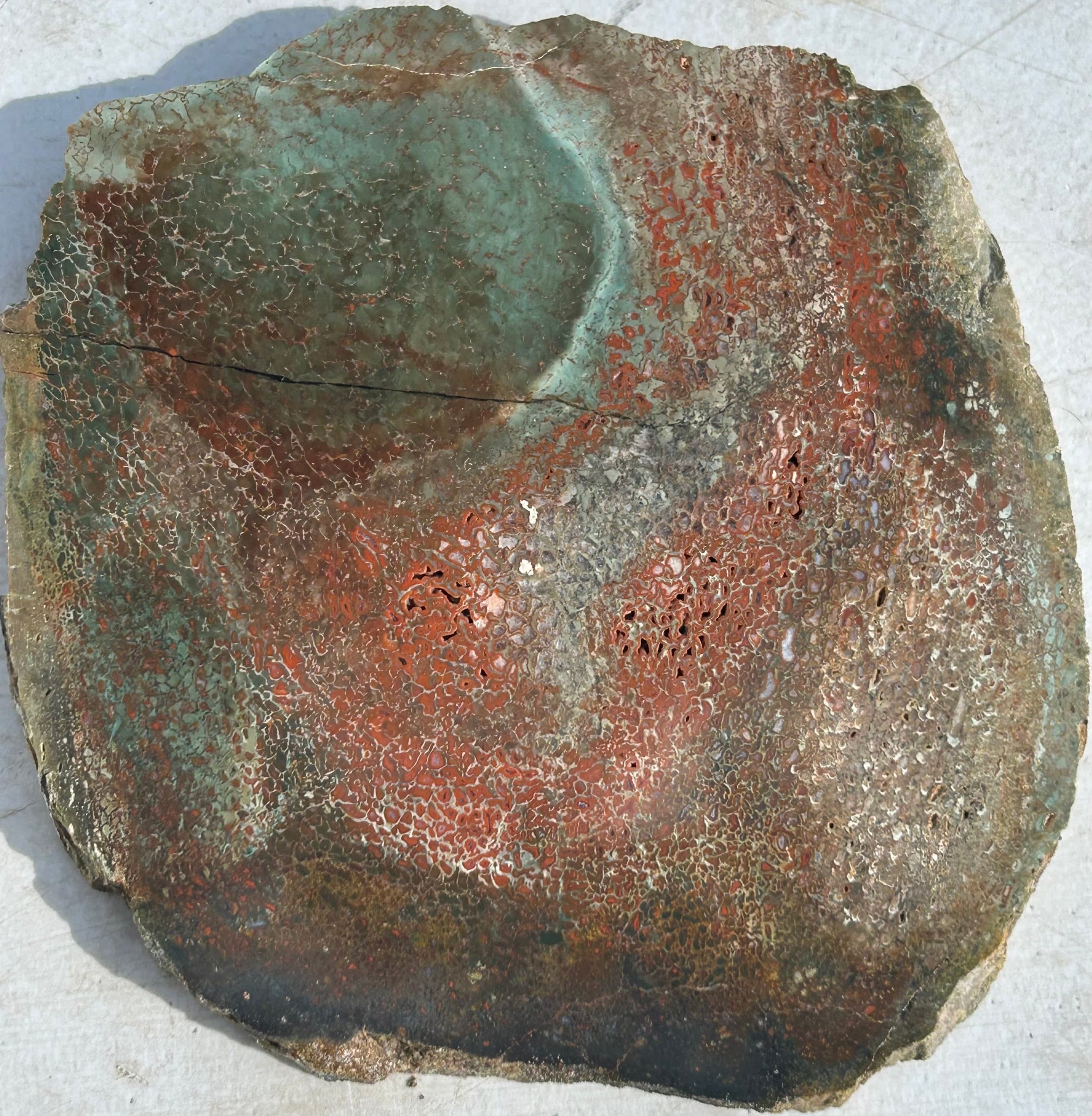 Interesting Unique Polished Jurassic Dinosaur Gem Bone Slab Agatized Dino Bone