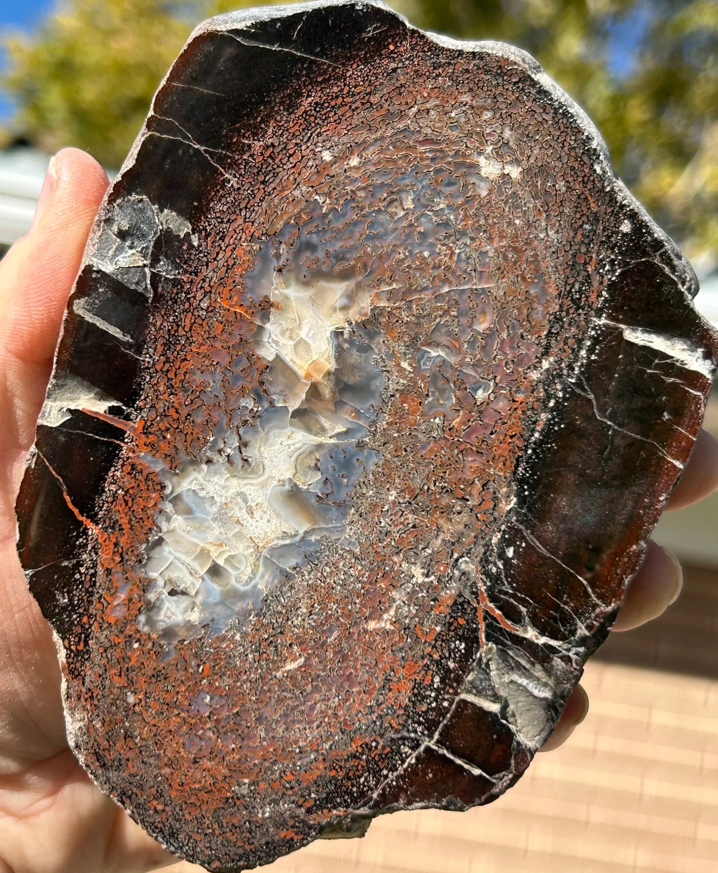 Beautiful Large Polished Rainbow Dinosaur Gem Bone Slab w/Fortification - Agatized Dino Bone