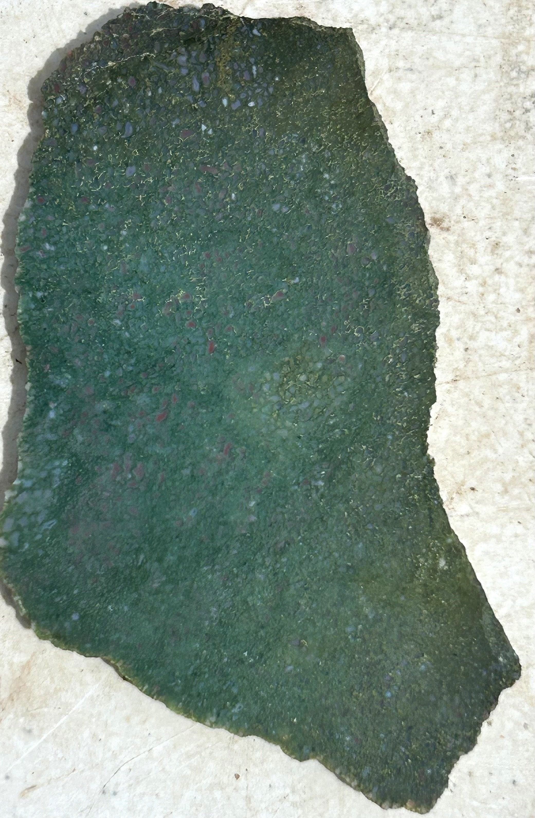 Green Dinosaur Gem Bone - Polished Dino Bone Slab