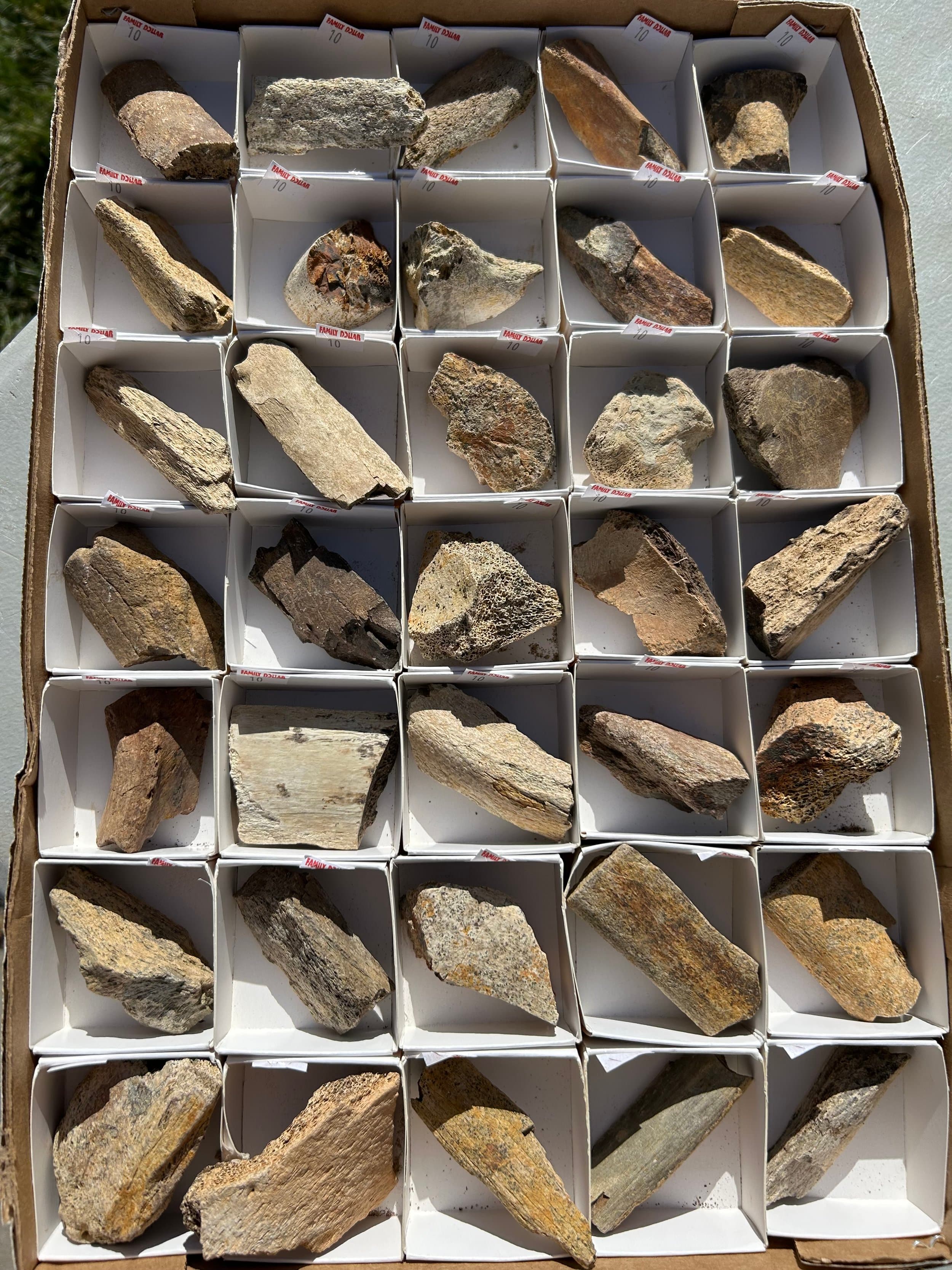 Nice 35 Piece Hadrosaur Fossil Specimen Wholesale Flat Cretaceous Hell Creek, MT