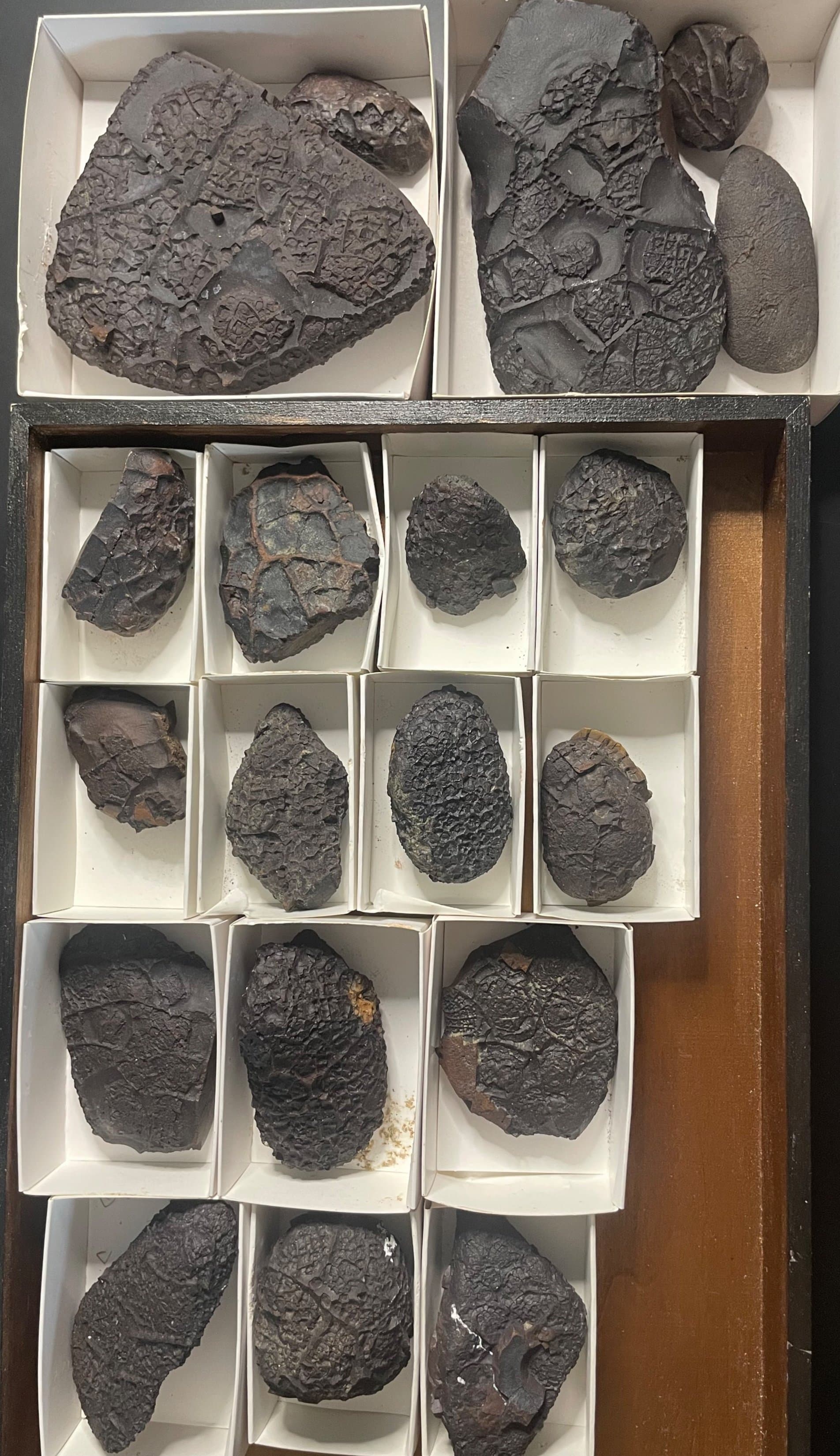 Nice Dragon Scale Stone Wholesale Flat - 8 lbs. 19 Pieces