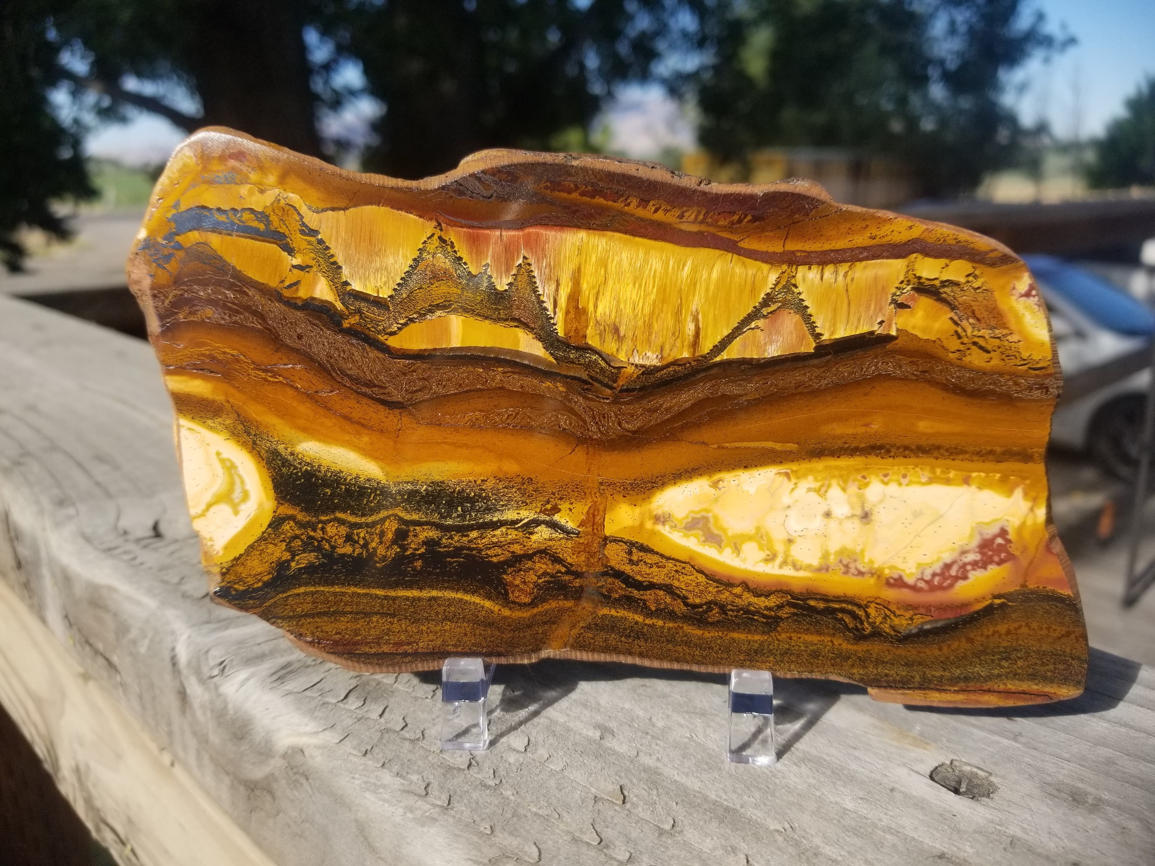 Beautiful Rare Polished Marra Mamba Tiger's Eye Picture Slab Thick Specimen 6x3.5" 1+Lb - Australia
