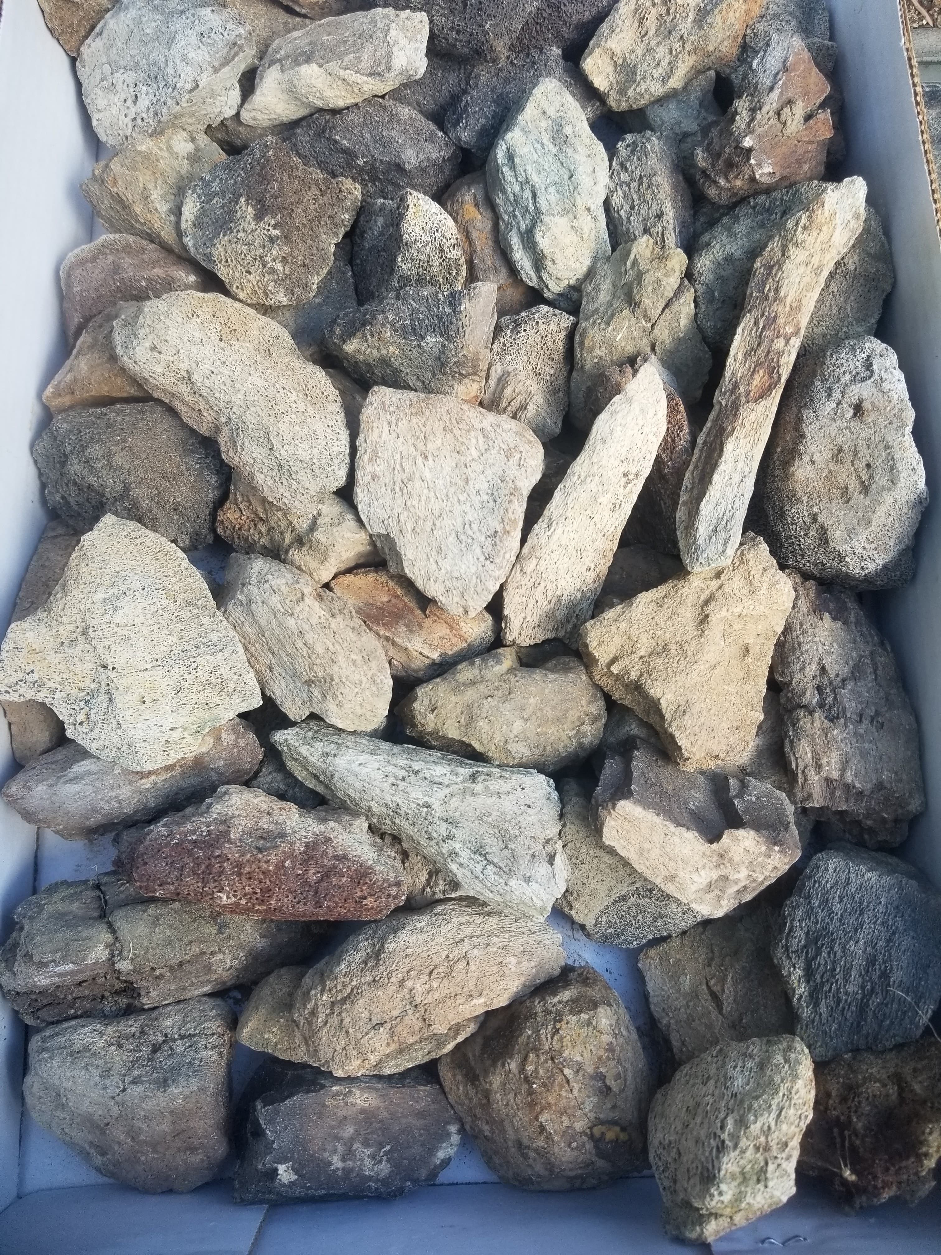 Nice 58 Piece 14.5Lb Triceratops Fossil Specimen Wholesale Flat Lot Cretaceous Hell Creek, MT