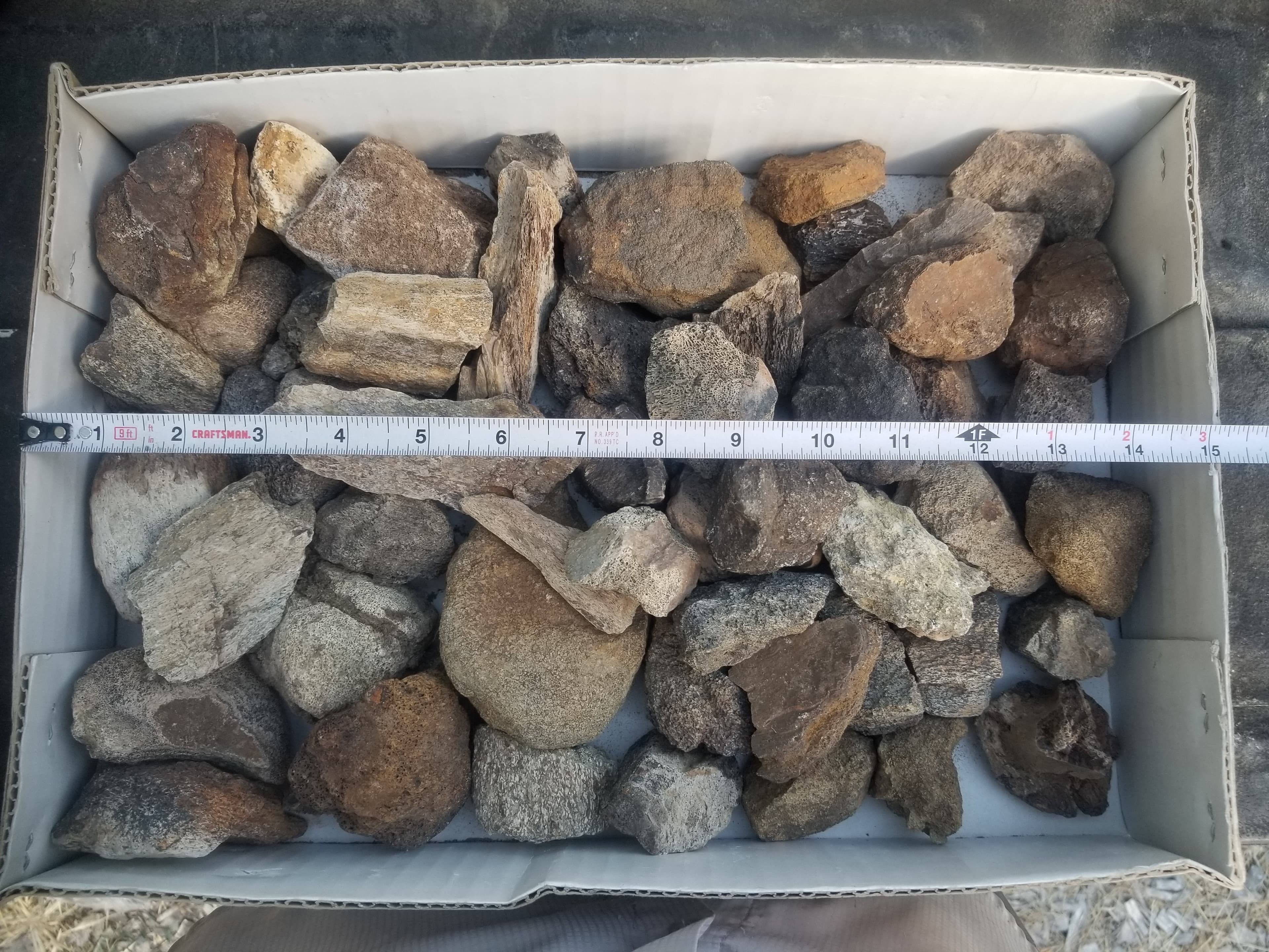 Nice 60 Piece 11.5Lb Hadrosaur Fossil Specimen Wholesale Flat Lot Cretaceous Hell Creek, MT