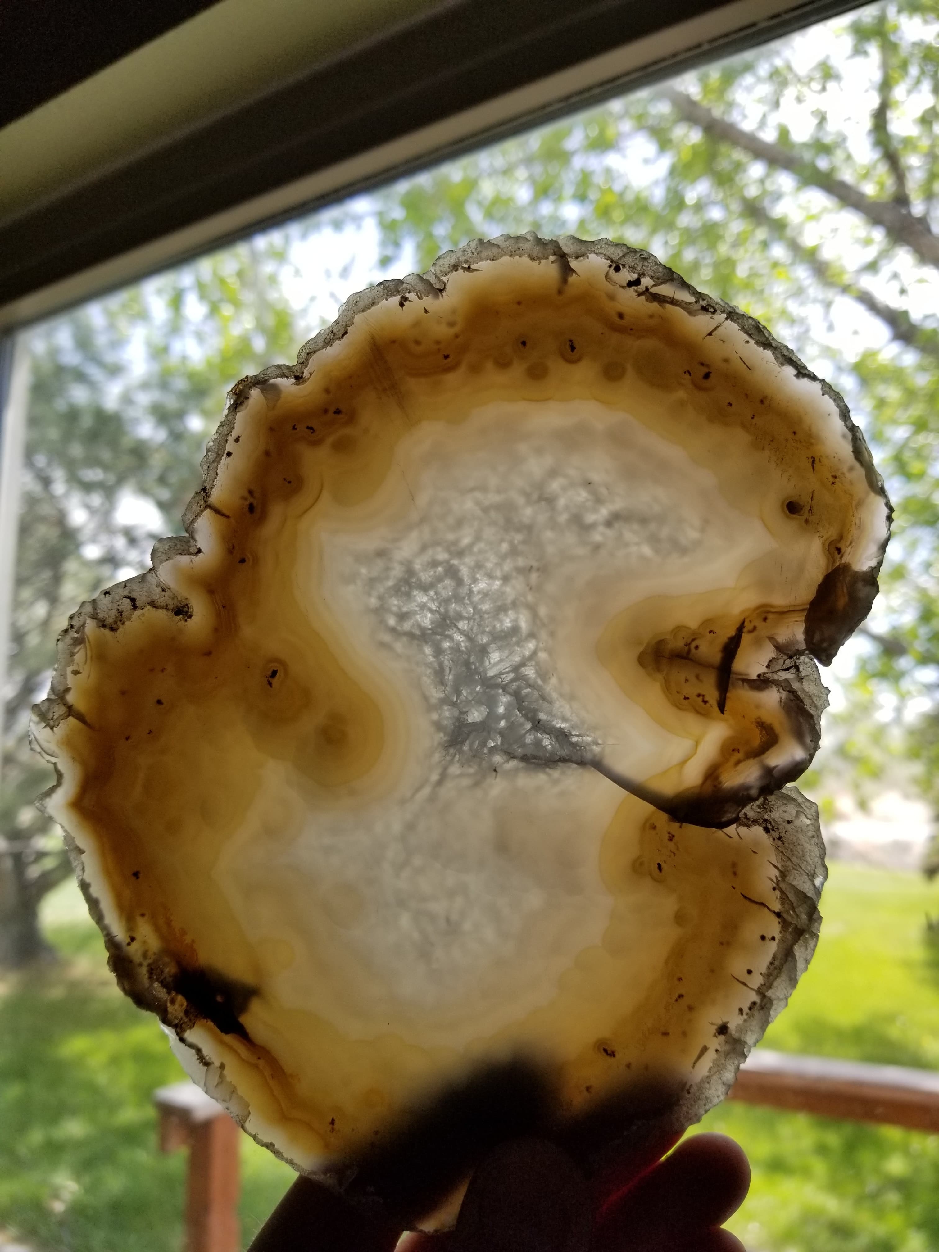 Nice Brazil Agate Slab Cut Polished Round Natural Beautiful Translucent Unique Decor