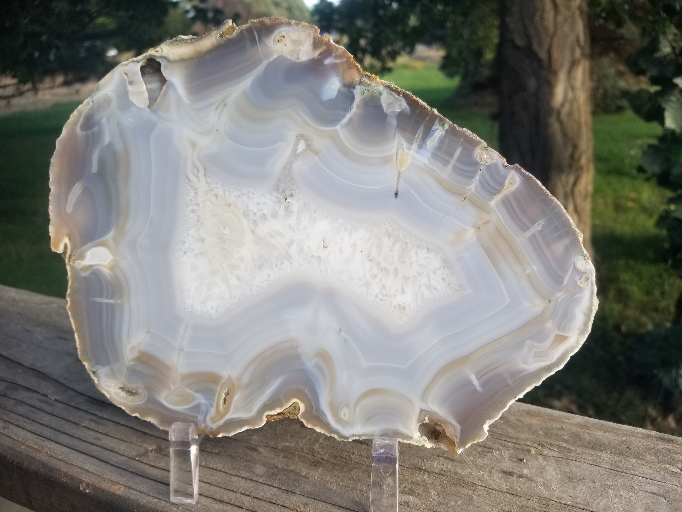Nice Brazil Agate Slab Cut Polished Round Natural Beautiful Translucent Unique Decor