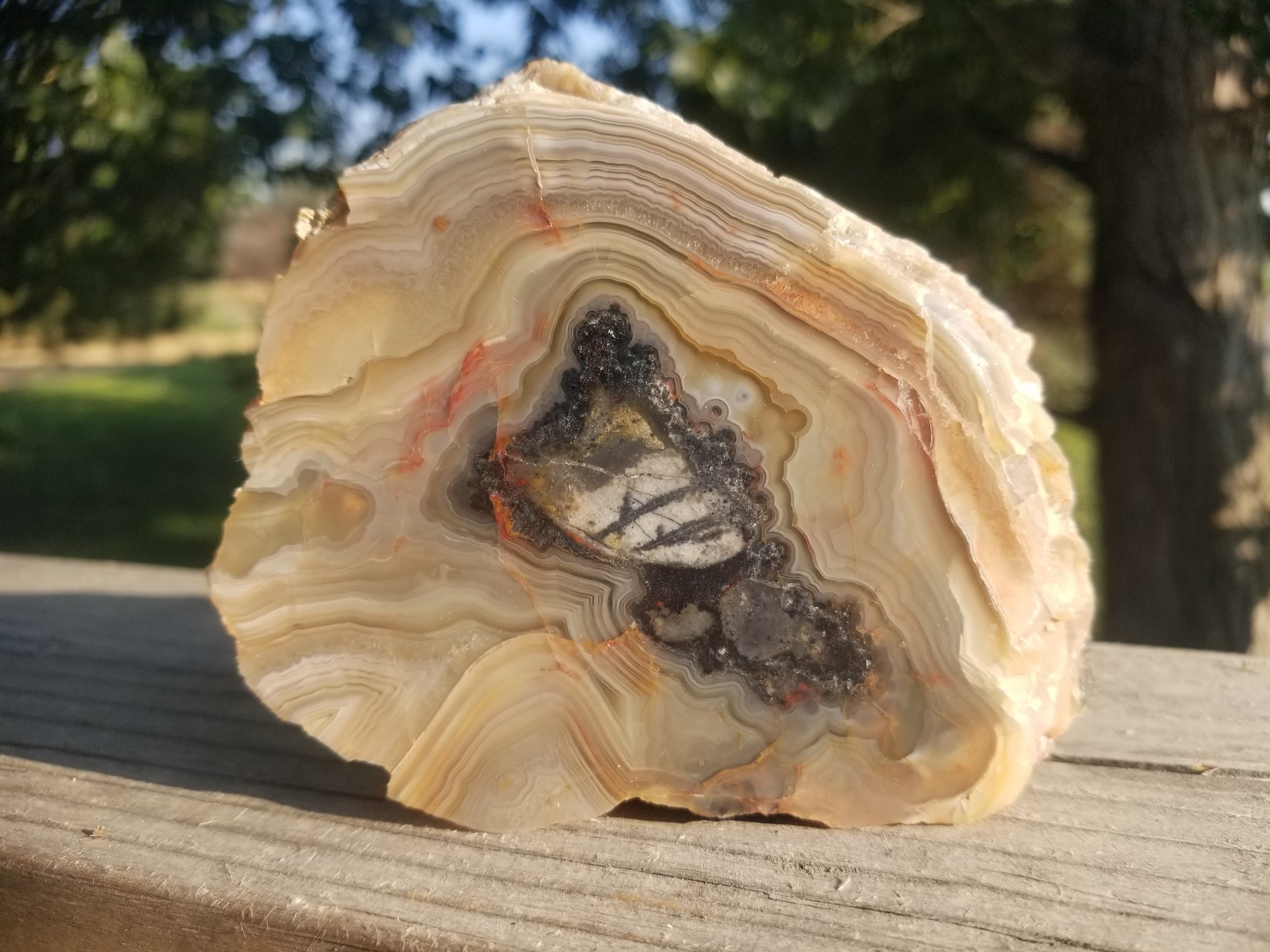 Nice Crazy Lace Banded Picture Agate Chalcedony Face Polished Specimen 1.3+Lb
