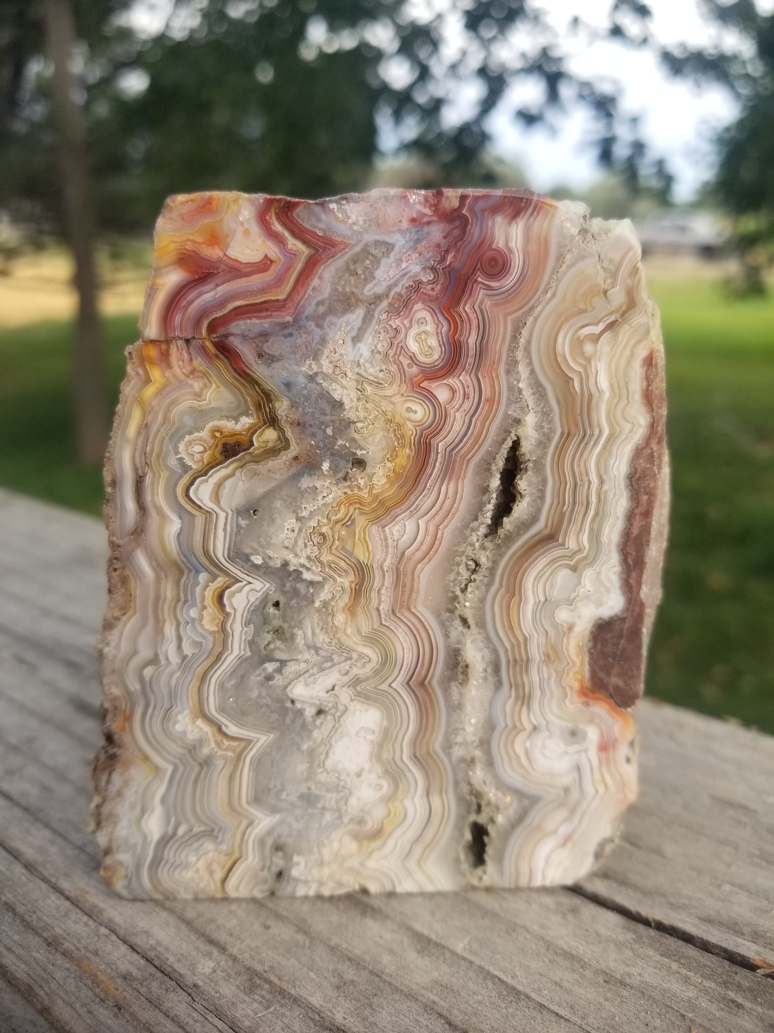 Nice Crazy Banded Lace Agate Chalcedony Face Polished Upright Specimen 1+Lb