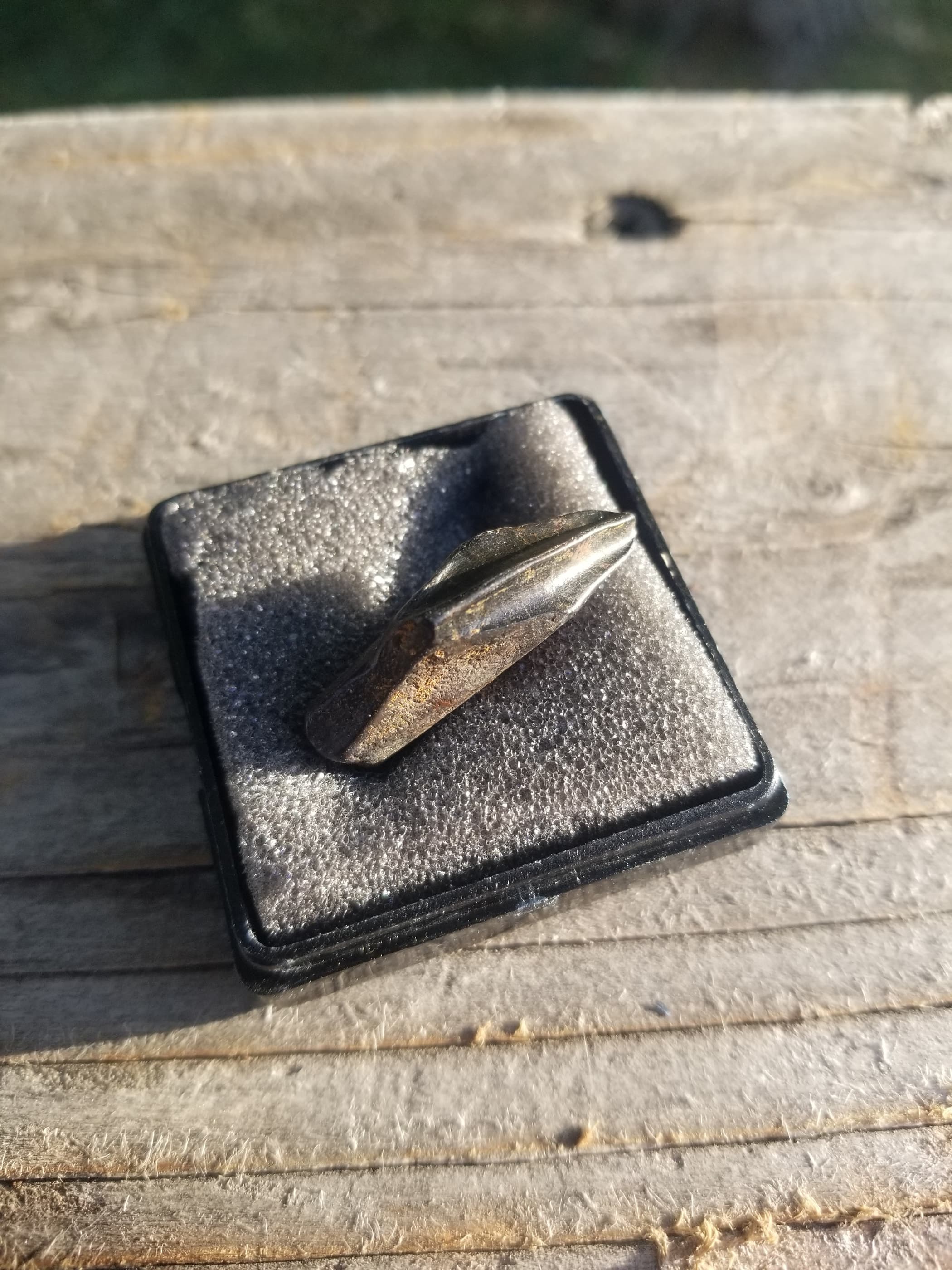 Nice Edmontosaurus Tooth Fossil Specimen Hell Creek, MT