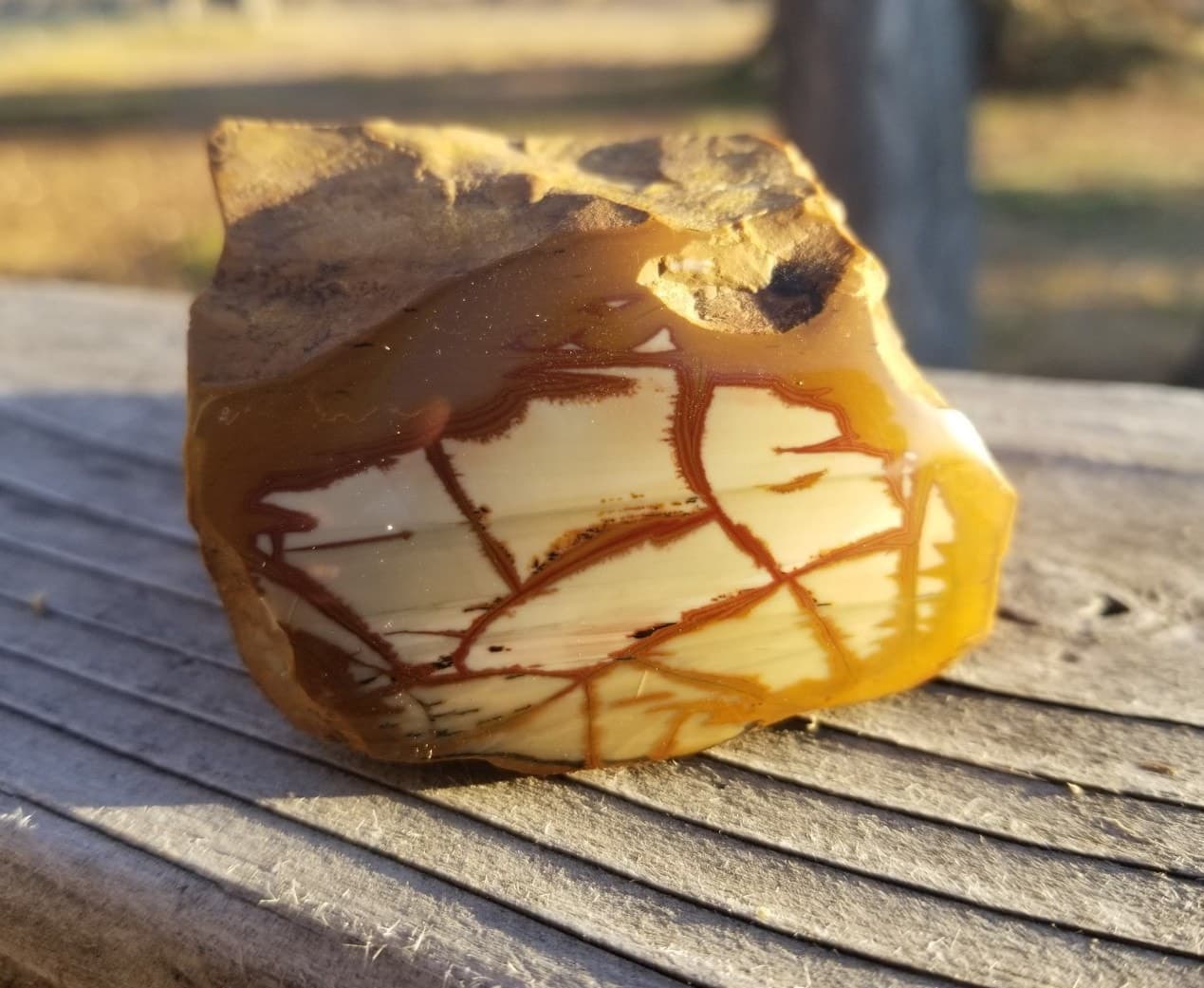 Nice End Polished Gem Grade Owyhee Picture Jasper Specimen 13.5oz Oregon Display