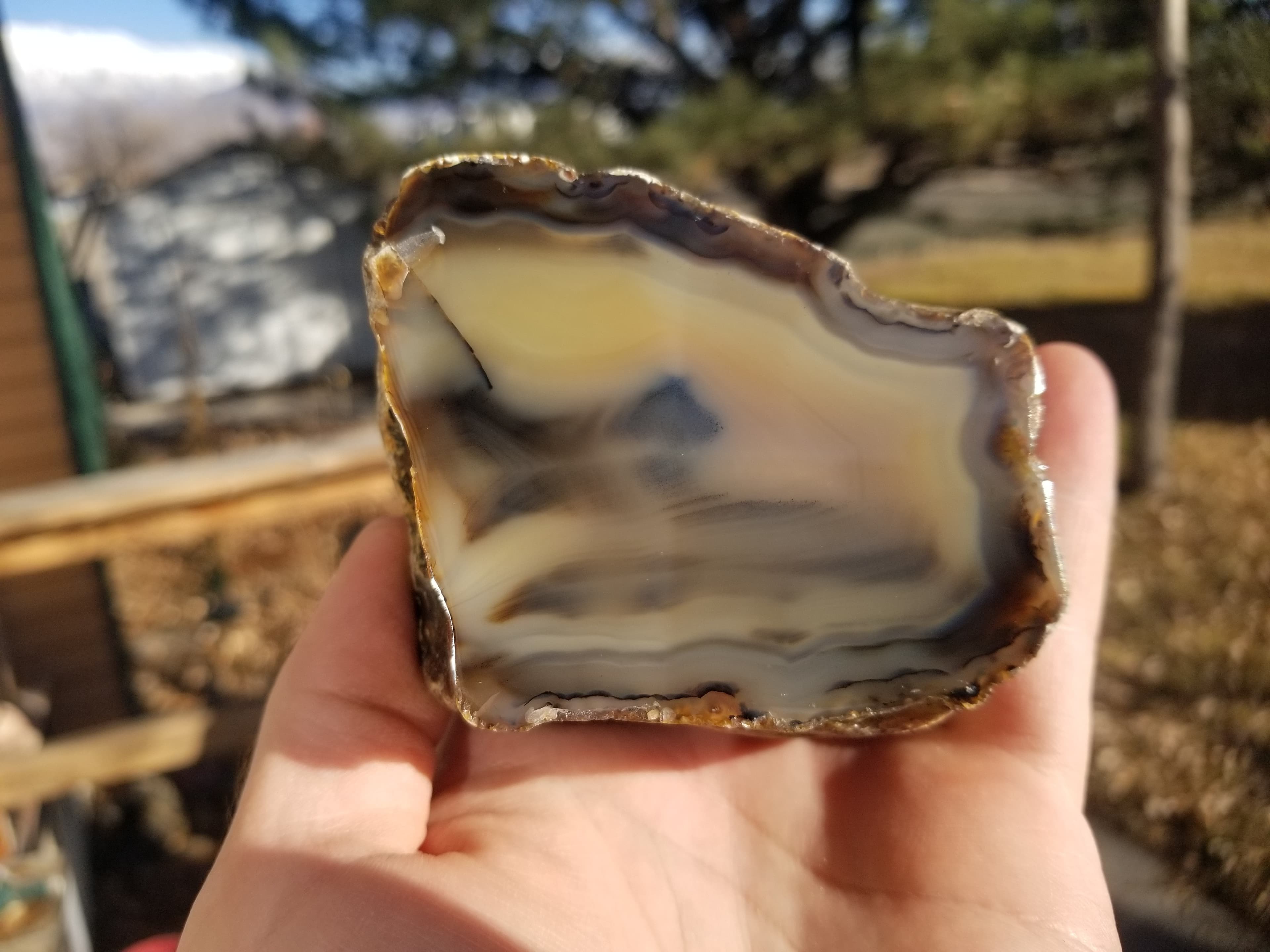 Nice Polished Black Skin Agate Half Nodule Banded India 1+Lb 3" Round Scenic
