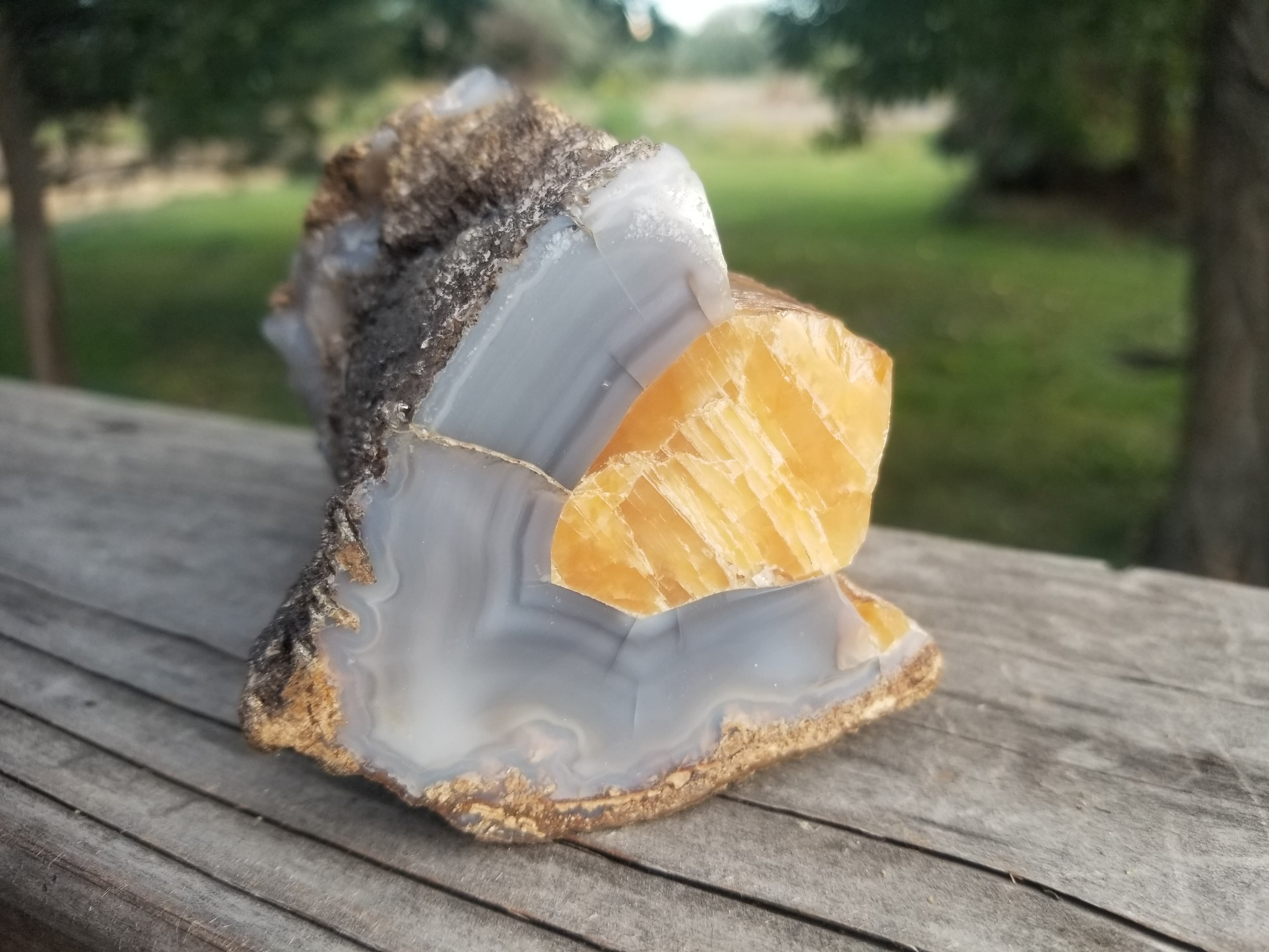 Nice Polished Blue Forest Petrified Wood Limb Cast 1/2 Round Large Golden Calcite Formations - Wyoming Agatized Wood Eden Valley 1.5Lb