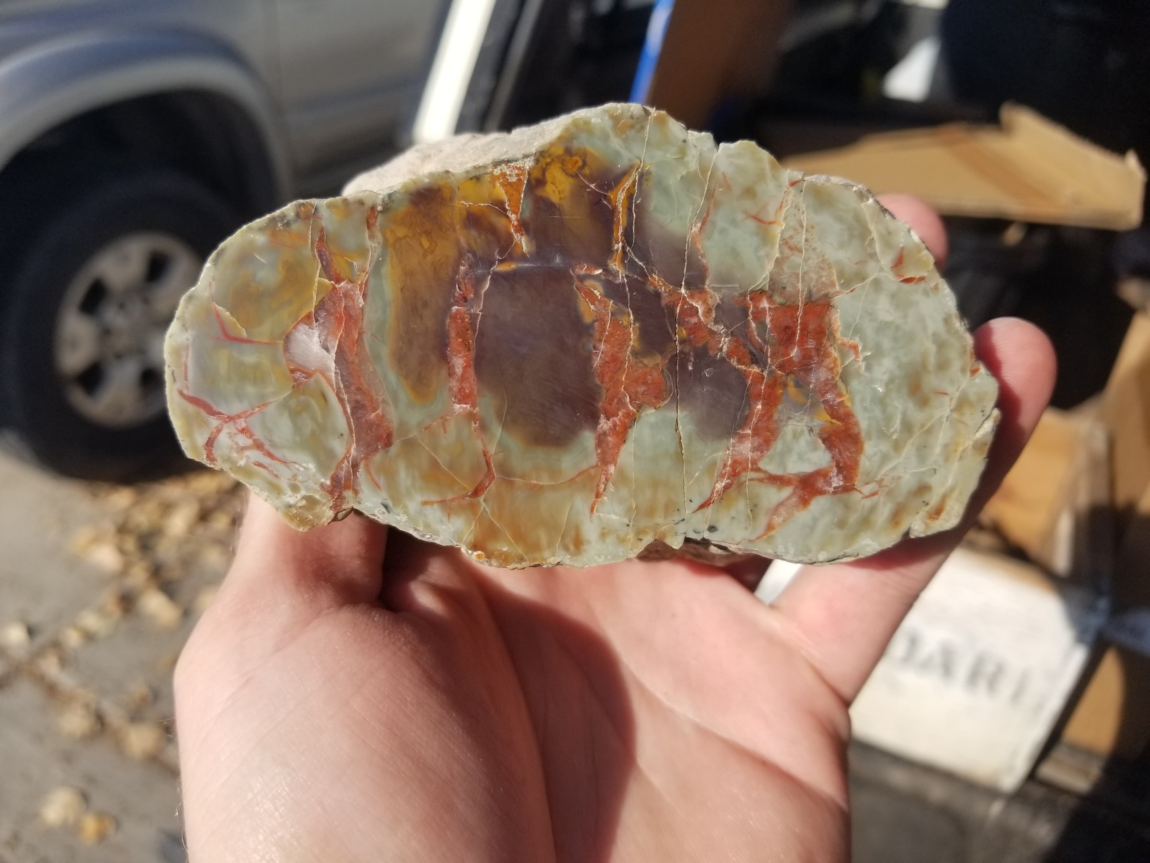 Nice Polished Coprolite Half Specimen Fossilized Agatized Dinosaur Poop Dung Natural 394g