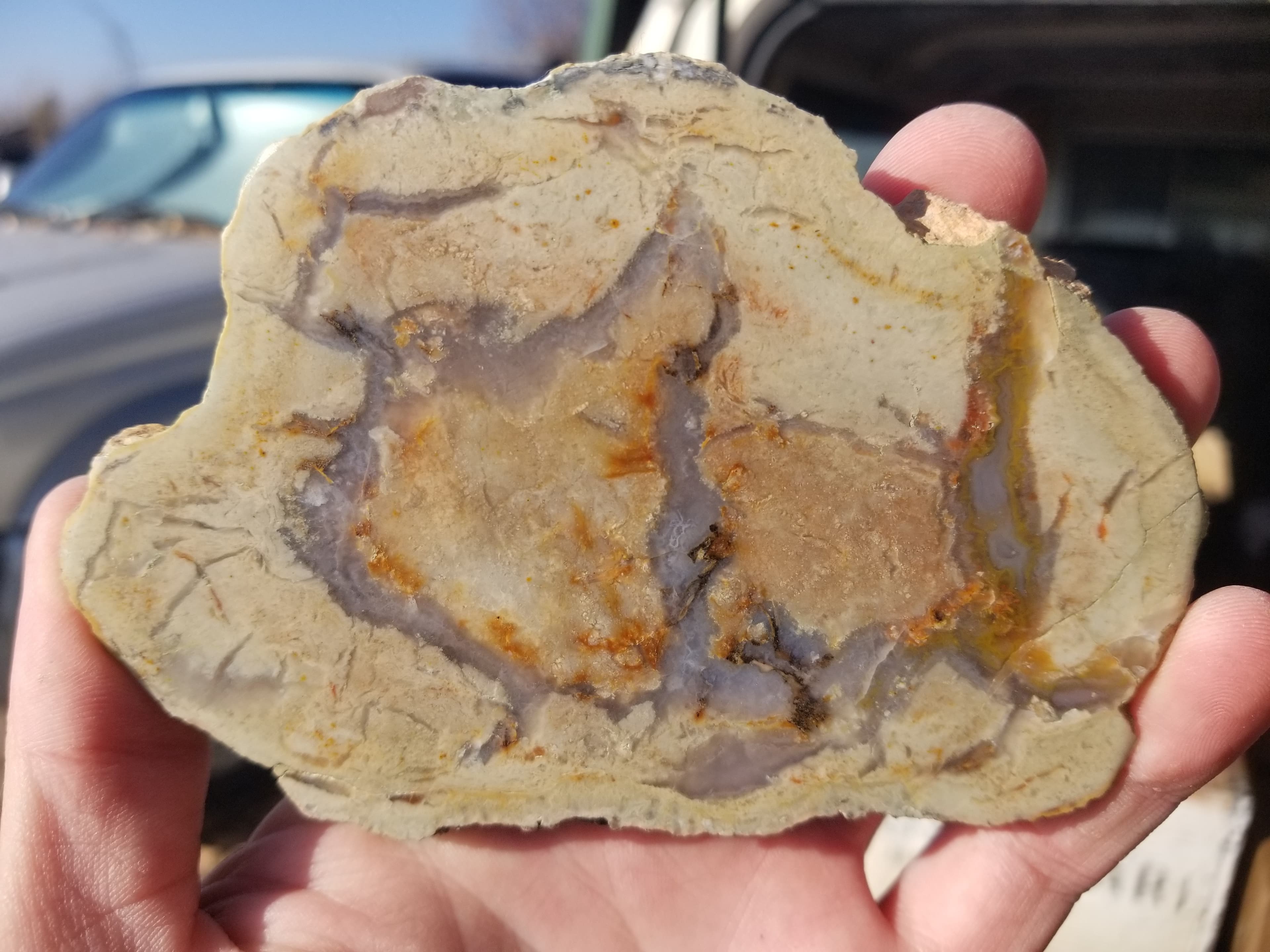 Nice Polished Coprolite Slab Specimen Fossilized Agatized Dinosaur Poop Dung Natural 122g