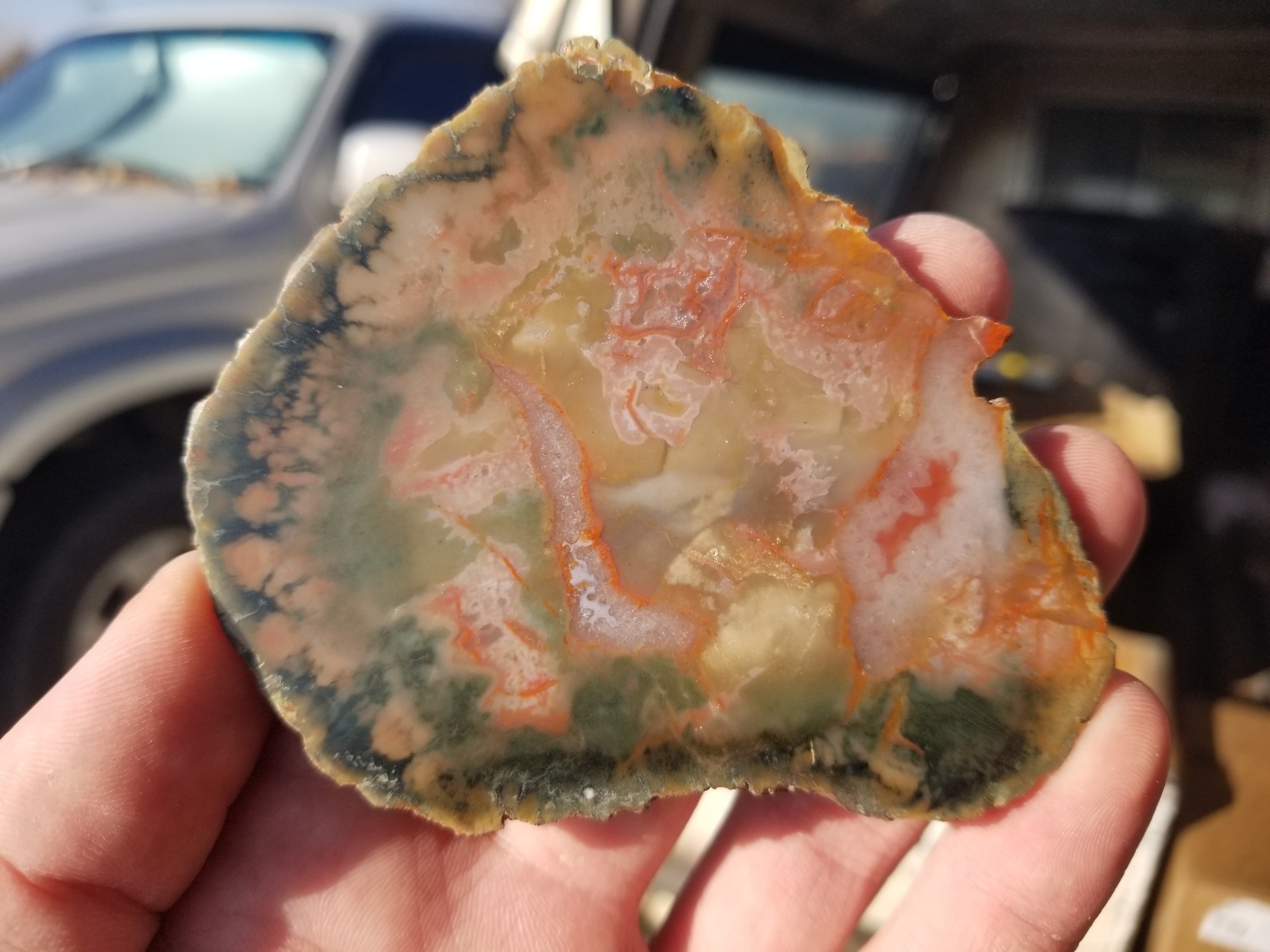Nice Polished Coprolite Slab Specimen Fossilized Agatized Dinosaur Poop Dung Natural 52g