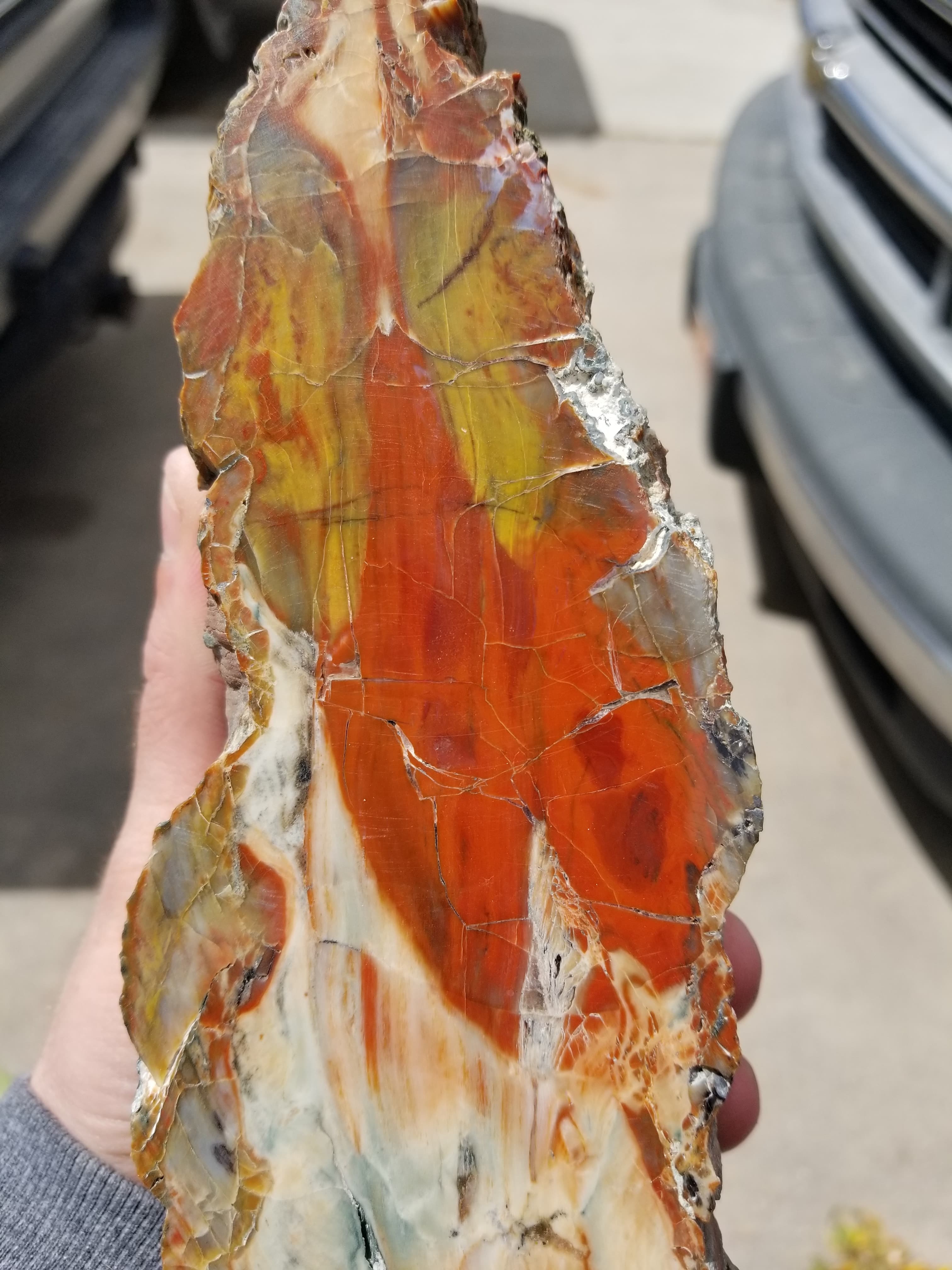Nice Polished Henry Mountains Petrified Wood Specimen - Jurassic, Southern Utah 4.2Lb