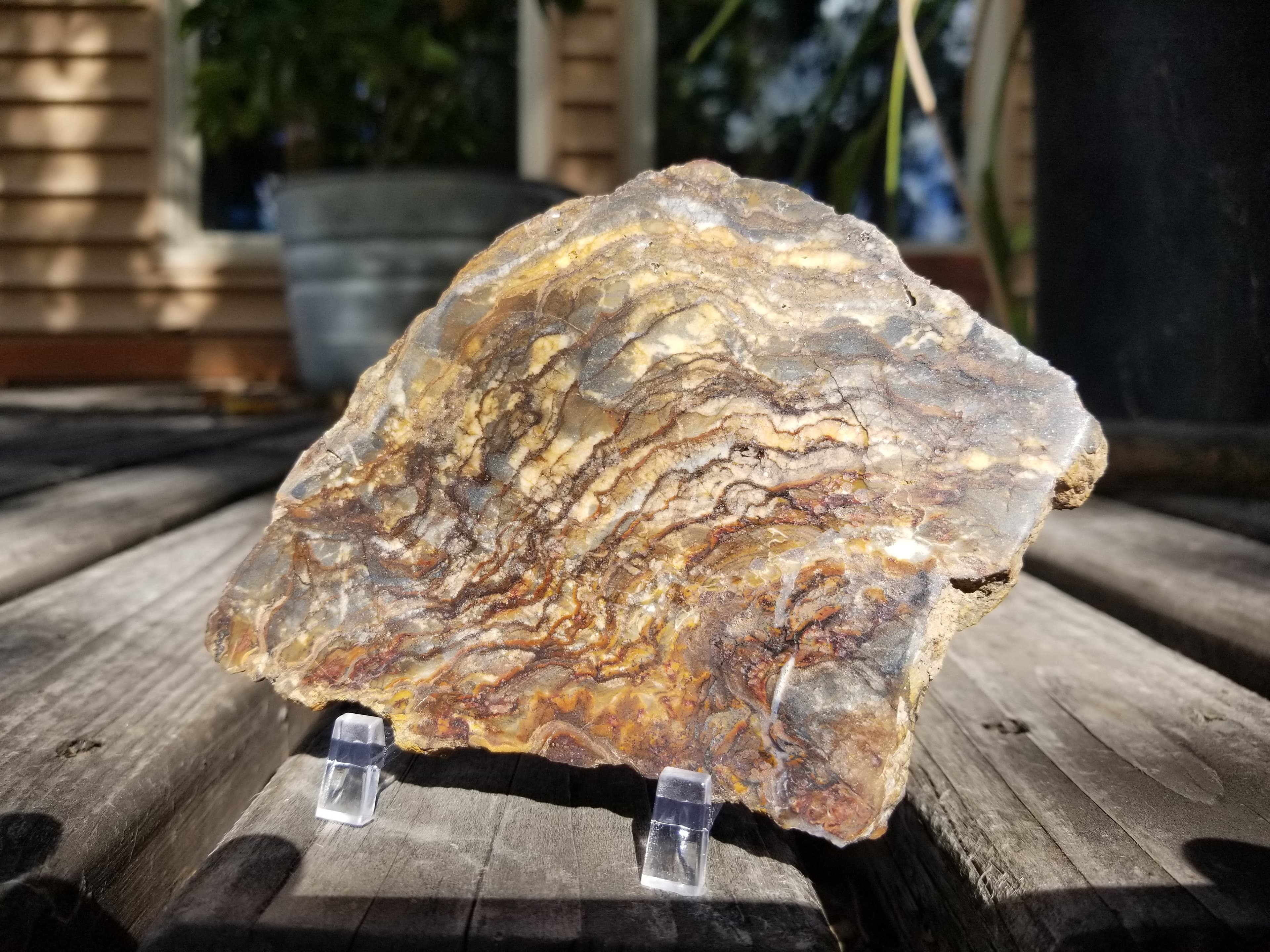 Nice Polished Picture Jasper Slab 5x3.5" Display Old Collection