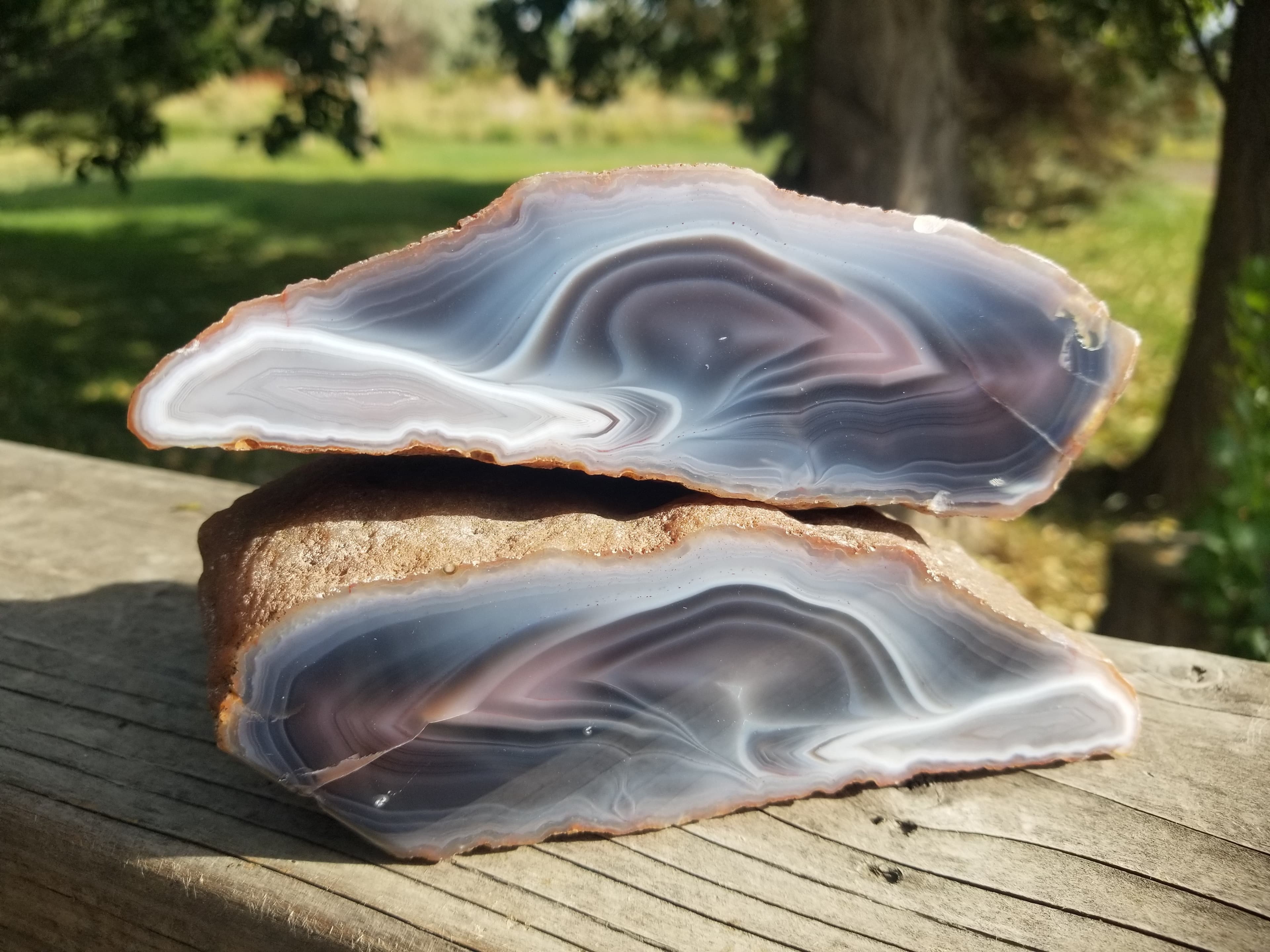 Nice RARE XL Polished Botswana or Swazi Agate Matching Geode Halves Display 2+Lb Old Stock/Collection