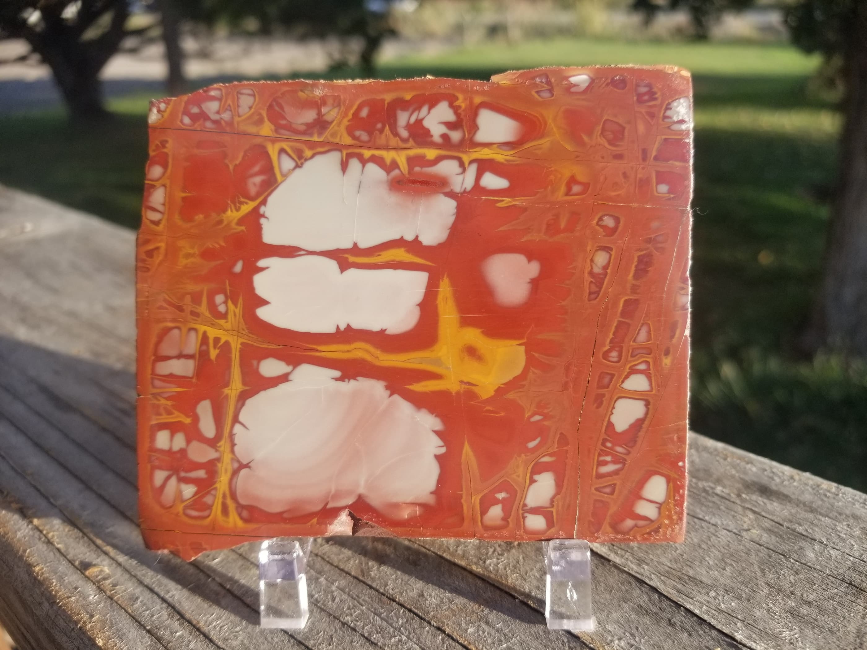 Noreena Jasper Polished Slab Specimen 159g