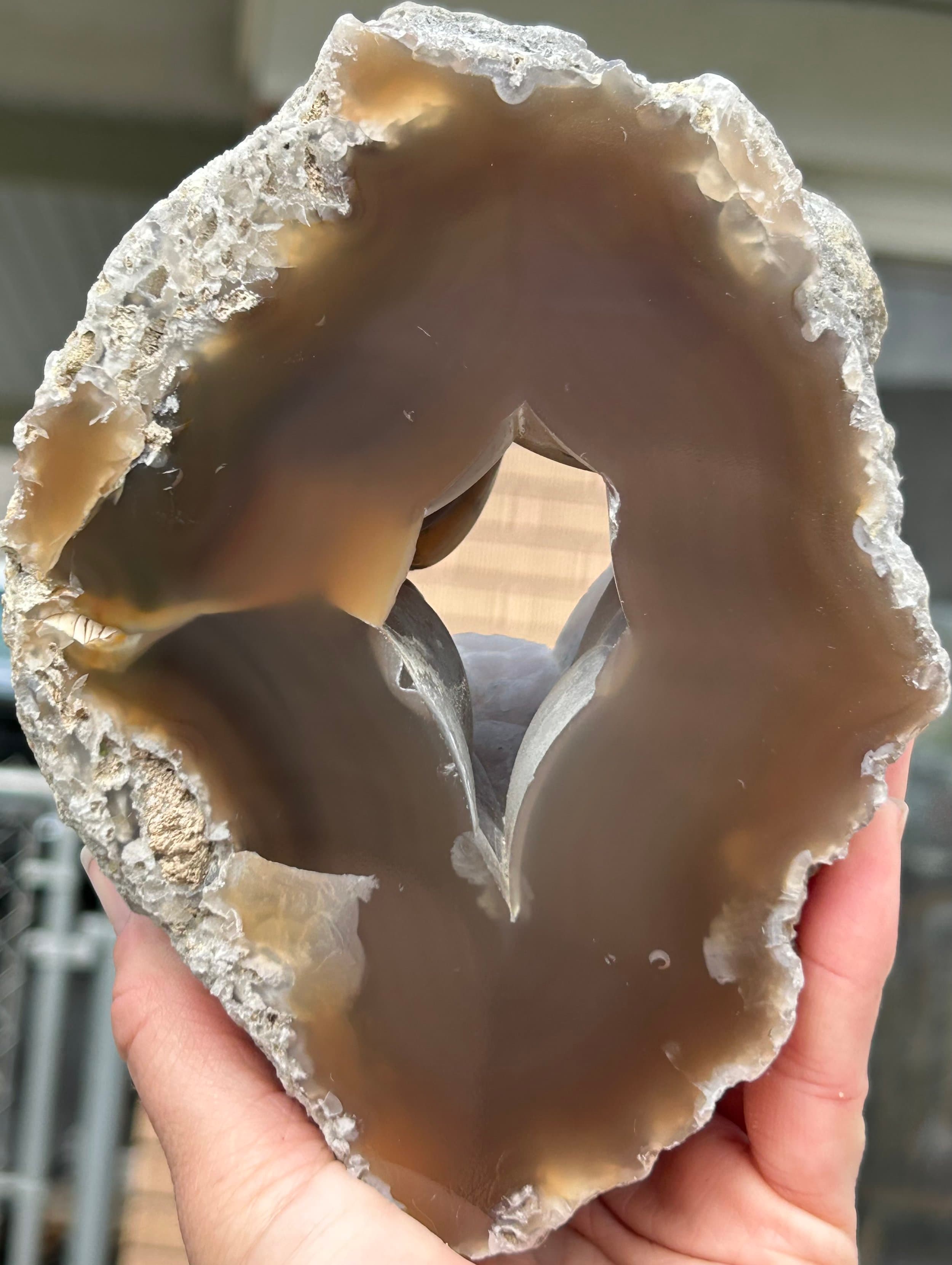 Beautiful Large 4+Lb Polished Wiggins Fork Agate Limb Cast - Petrified Wood Tree Limb w/Hollow Core