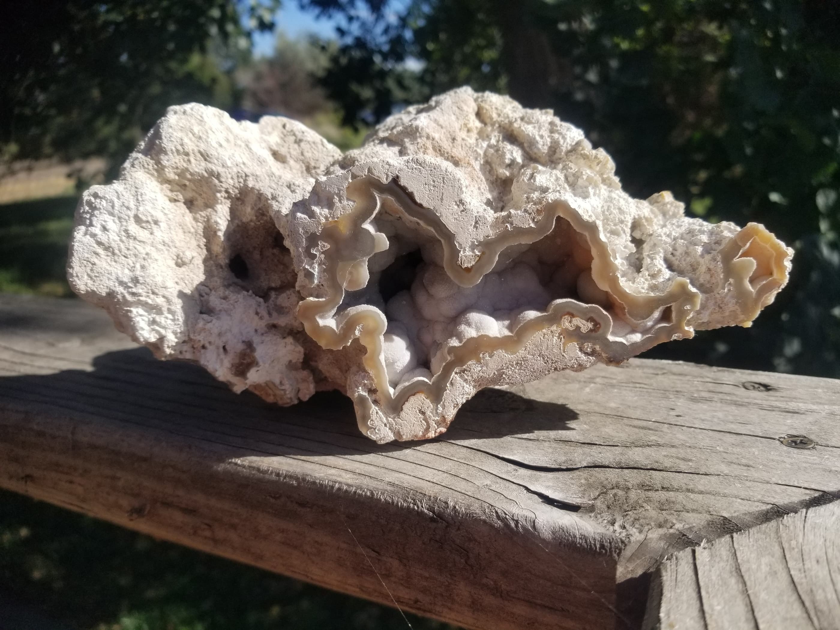 Incredible Large Polished Agatized Coral Fossil Chalcedony Mineral Reef Crystal/Druzy 2.8Lb
