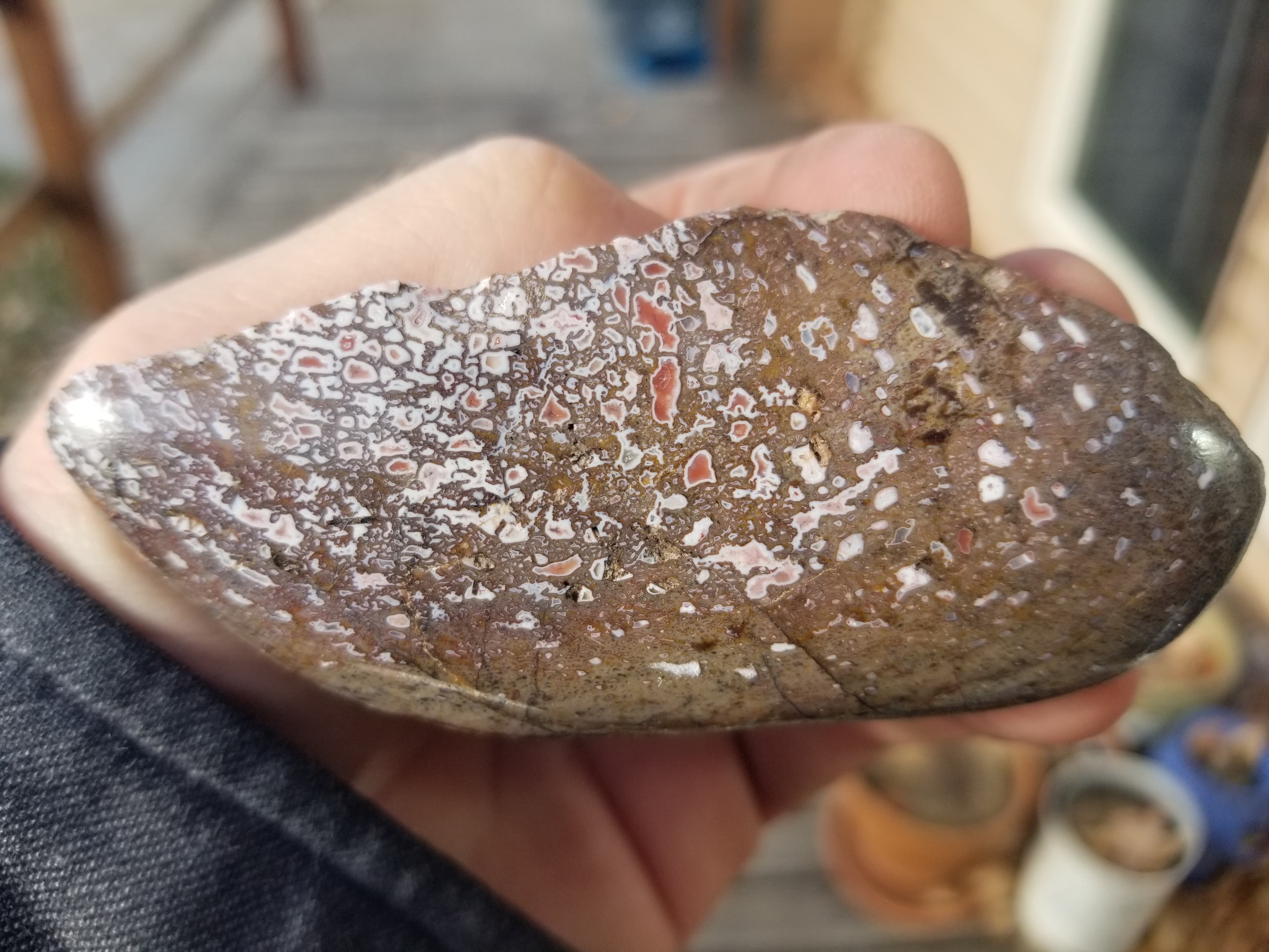 Polished Unique Opaque Pink Cell Agatized Jurassic Dinosaur Gem Bone Endcut Specimem 105g
