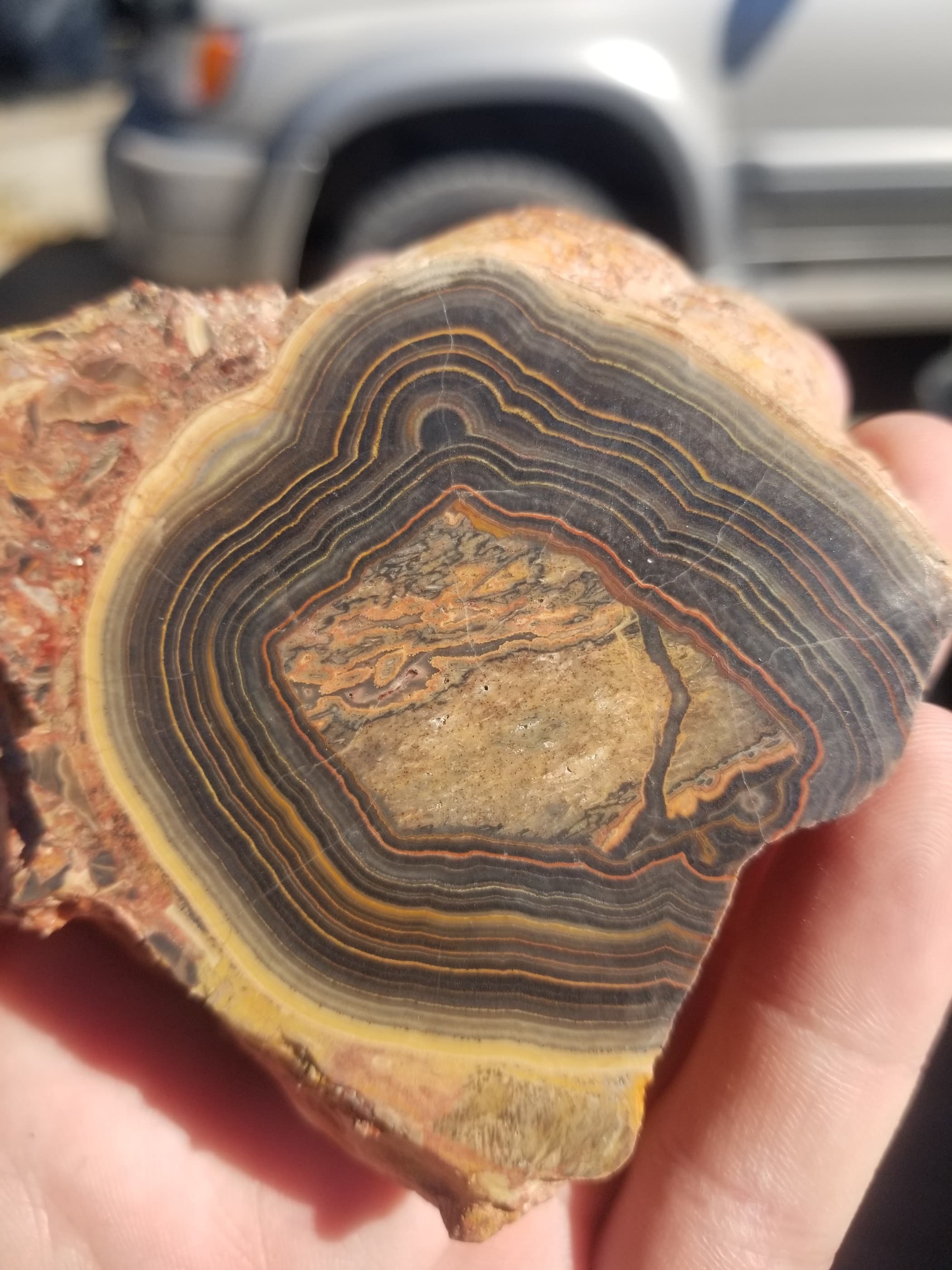 Rare Scenic Landscape Flowering Tube Onyx Polished Specimen 9.1oz Nephi Utah