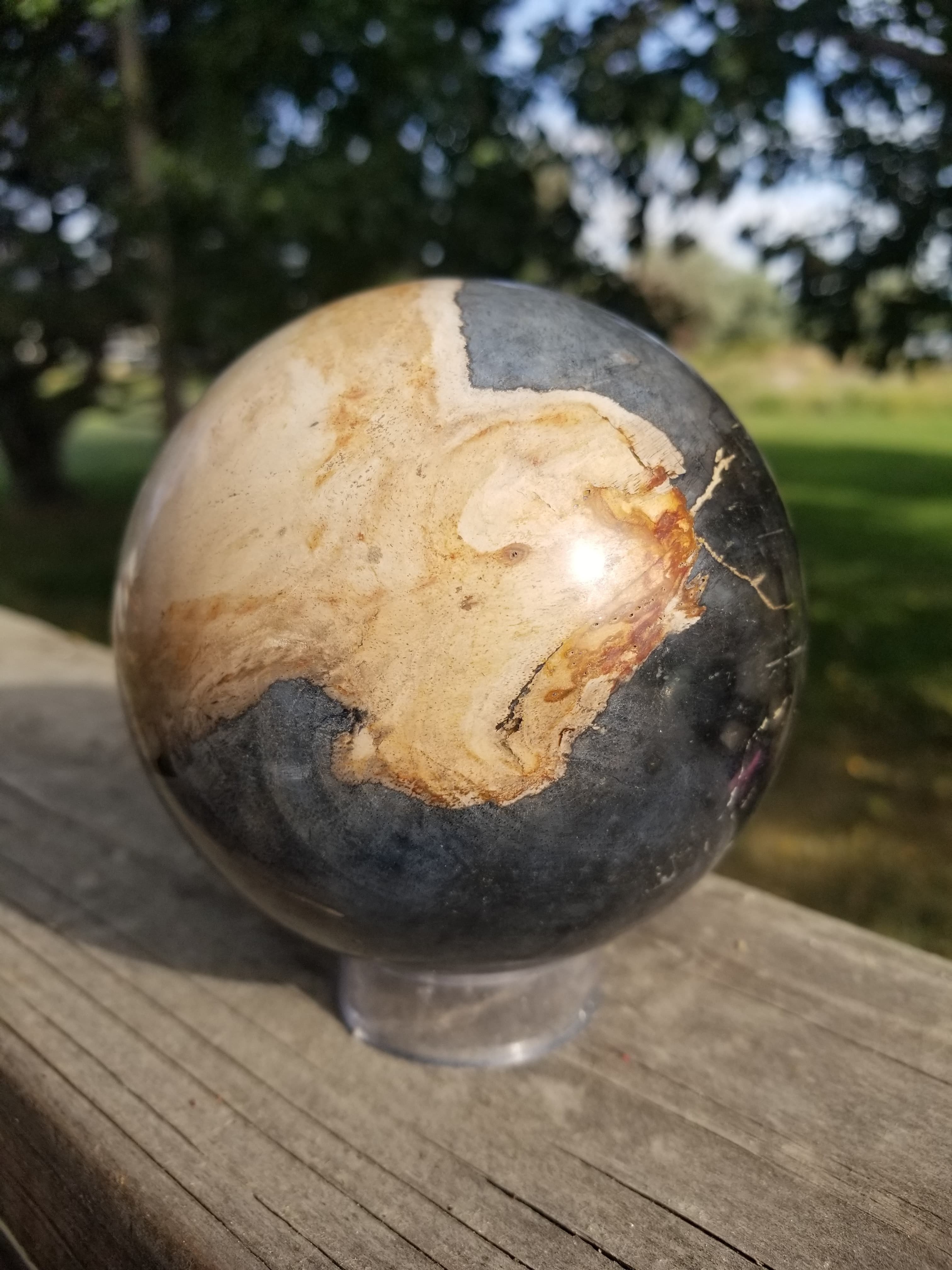 Real Large Polished Petrified Wood Sphere 4" Indonesia Nice Display Metaphysical 3+Lb