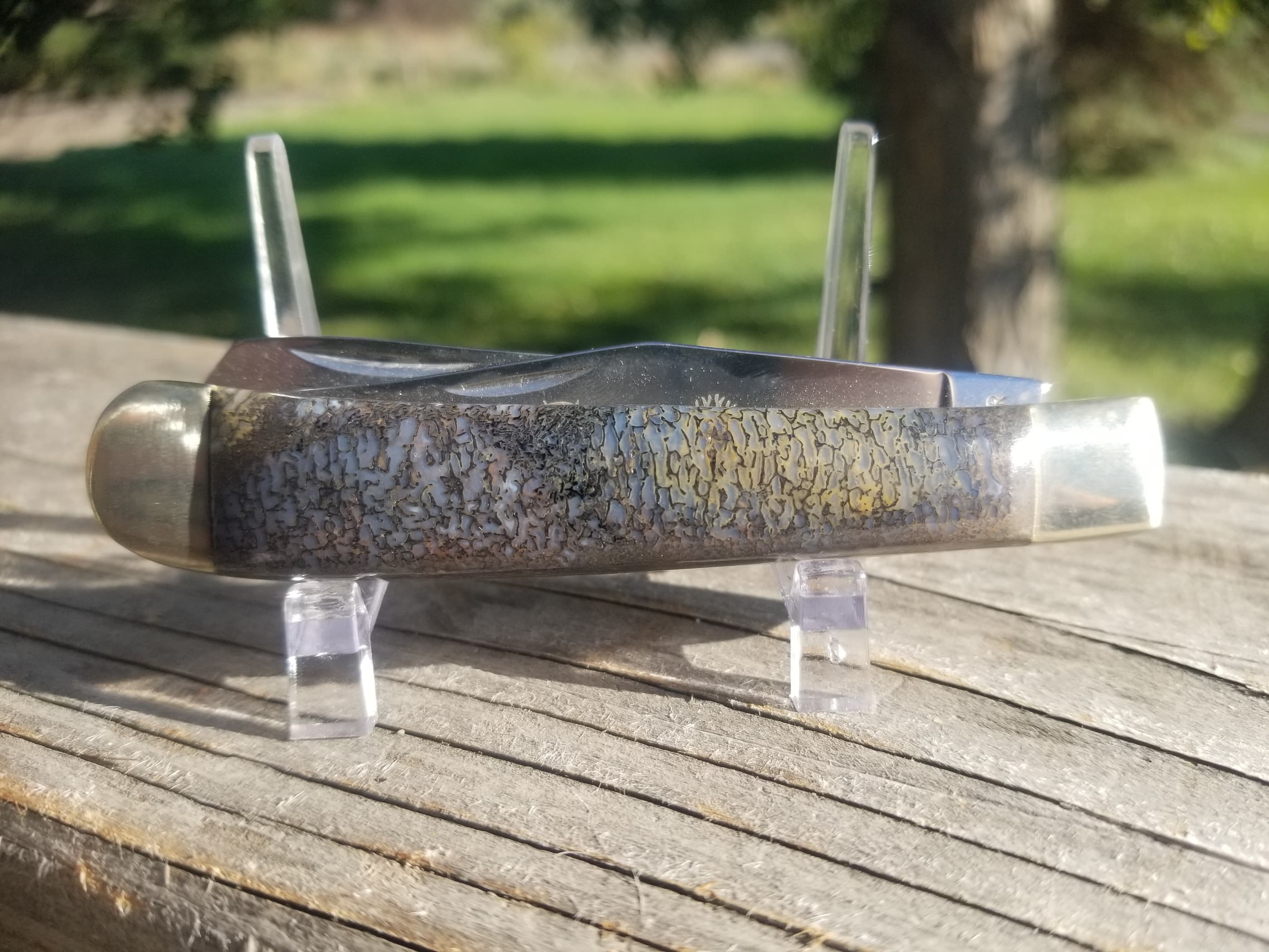 Nice Blue Dinosaur Gem Bone Handle Folding Utility Knife - 4” Handle