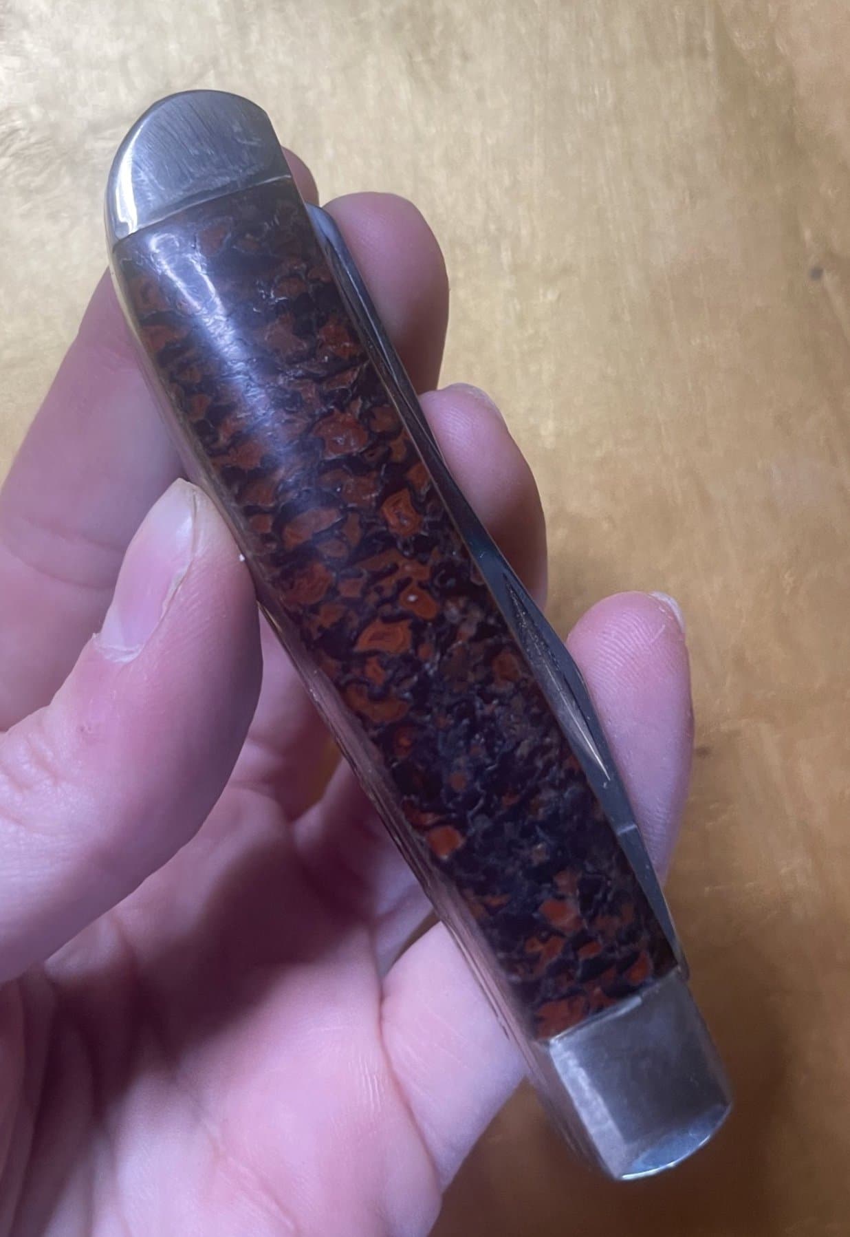 Awesome Large Cell Dinosaur Gem Bone Handle Folding Utility Knife - 3.75” Handle