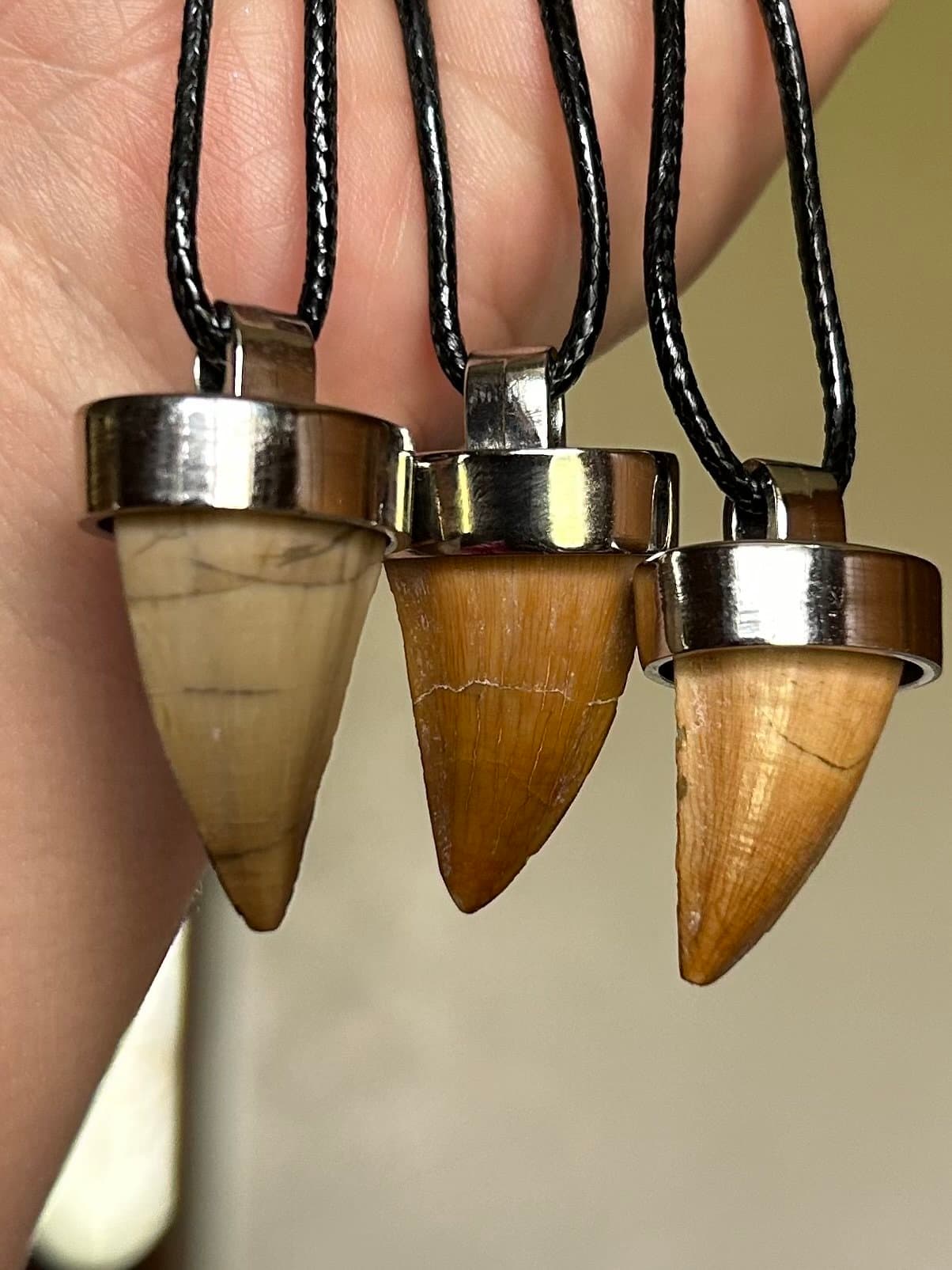 Nice Unique Mosasaur Tooth Necklace Pendant on Braided Leather Cord