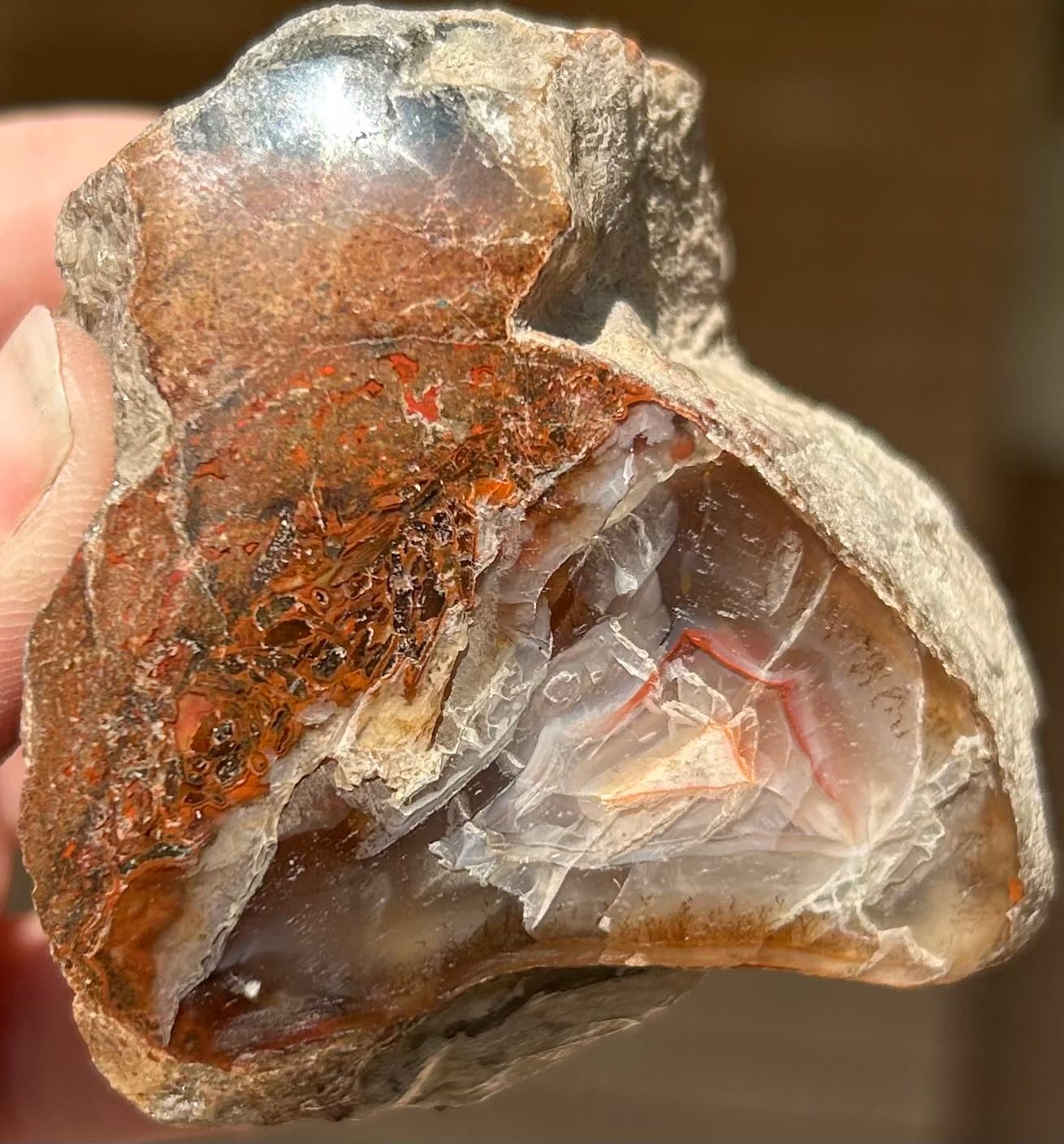 Nice Freeform Polished Dinosaur Gem Bone Fortification - UV Reactive