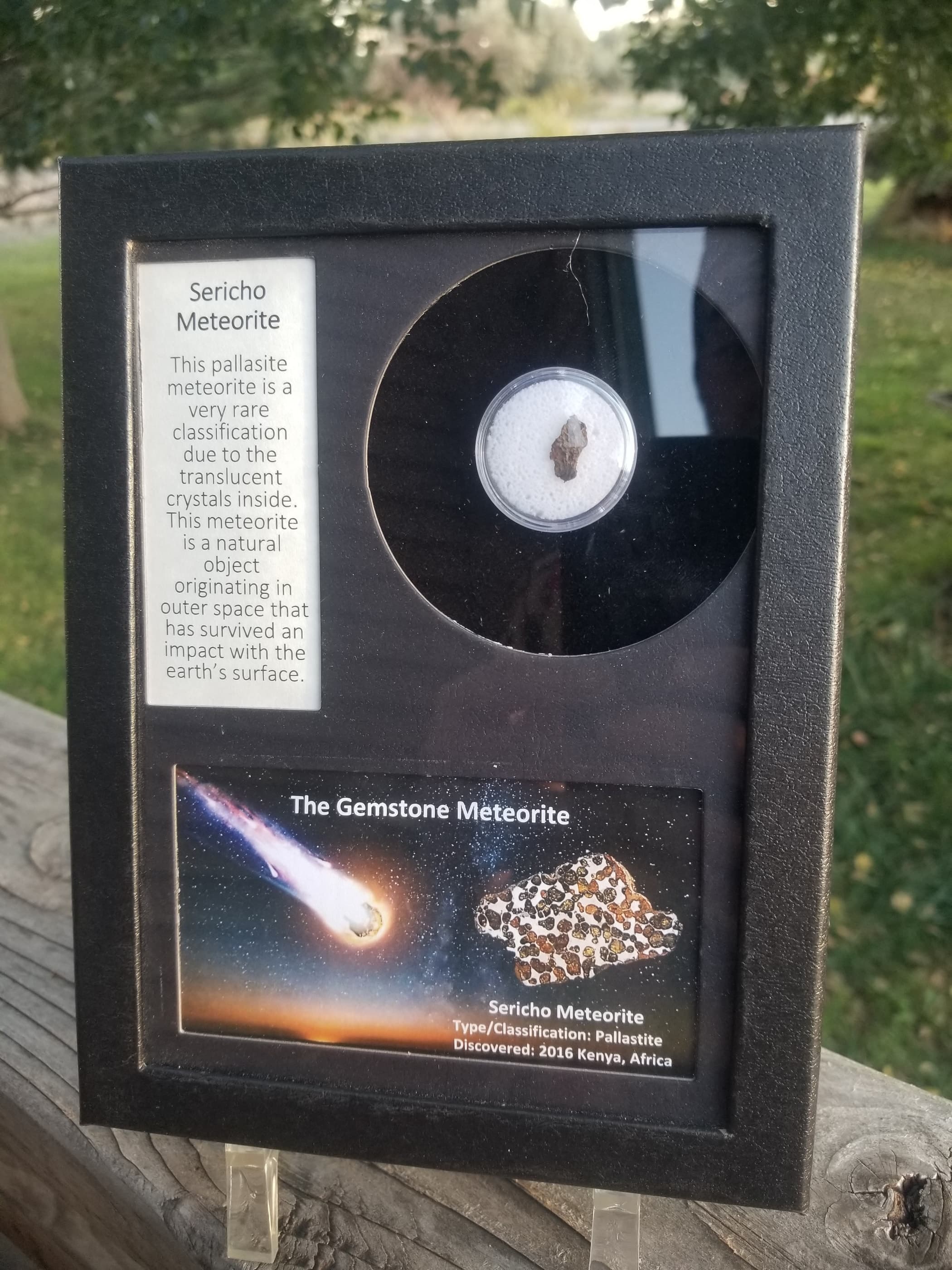 Sericho Meteorite Specimen & Display Case - Kenya, Africa 2016