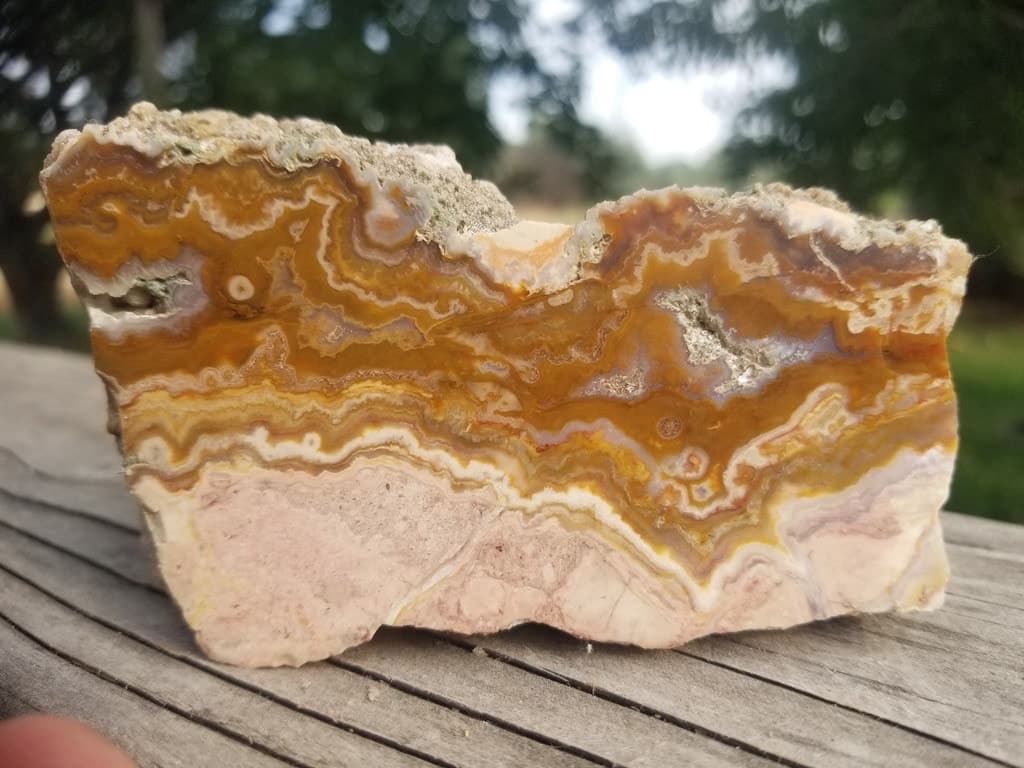 Unique Lysite AKA Blizzard Stone Agate Polished Specimen WY Druzy Pockets Banding Botryoidals