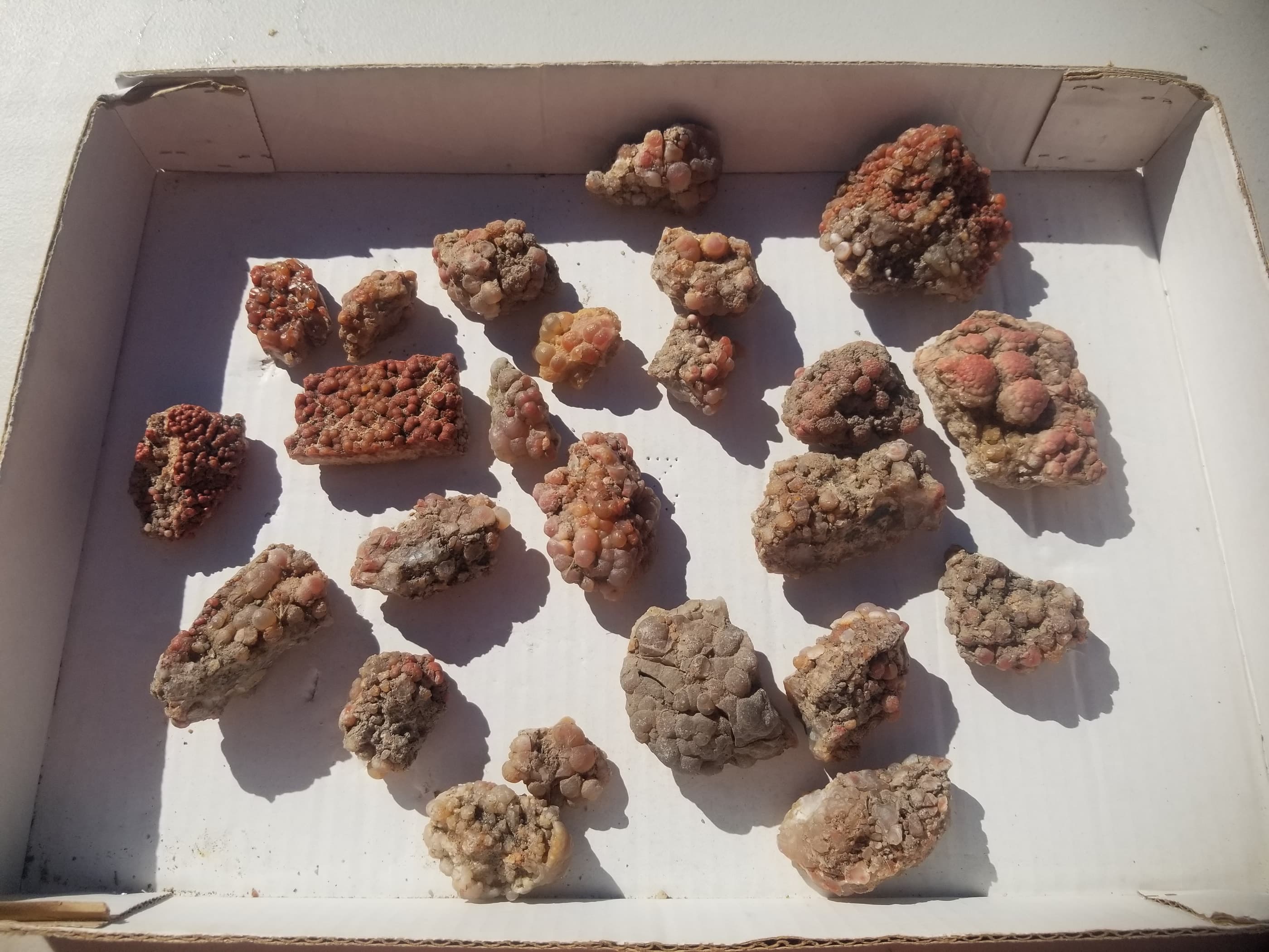 *Wholesale - Grape Agate Clusters Green River Utah Botryoidal 24pc 3Lb