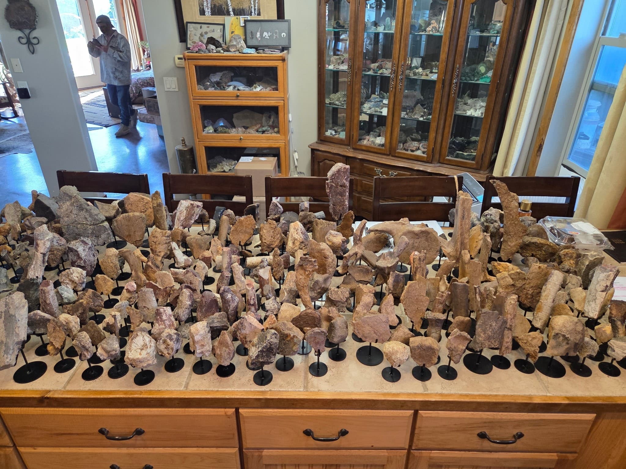 *Wholesale - Mixed Dinosaur Fossil Lot - Tell Us a Price & We'll Put a Batch Together For You