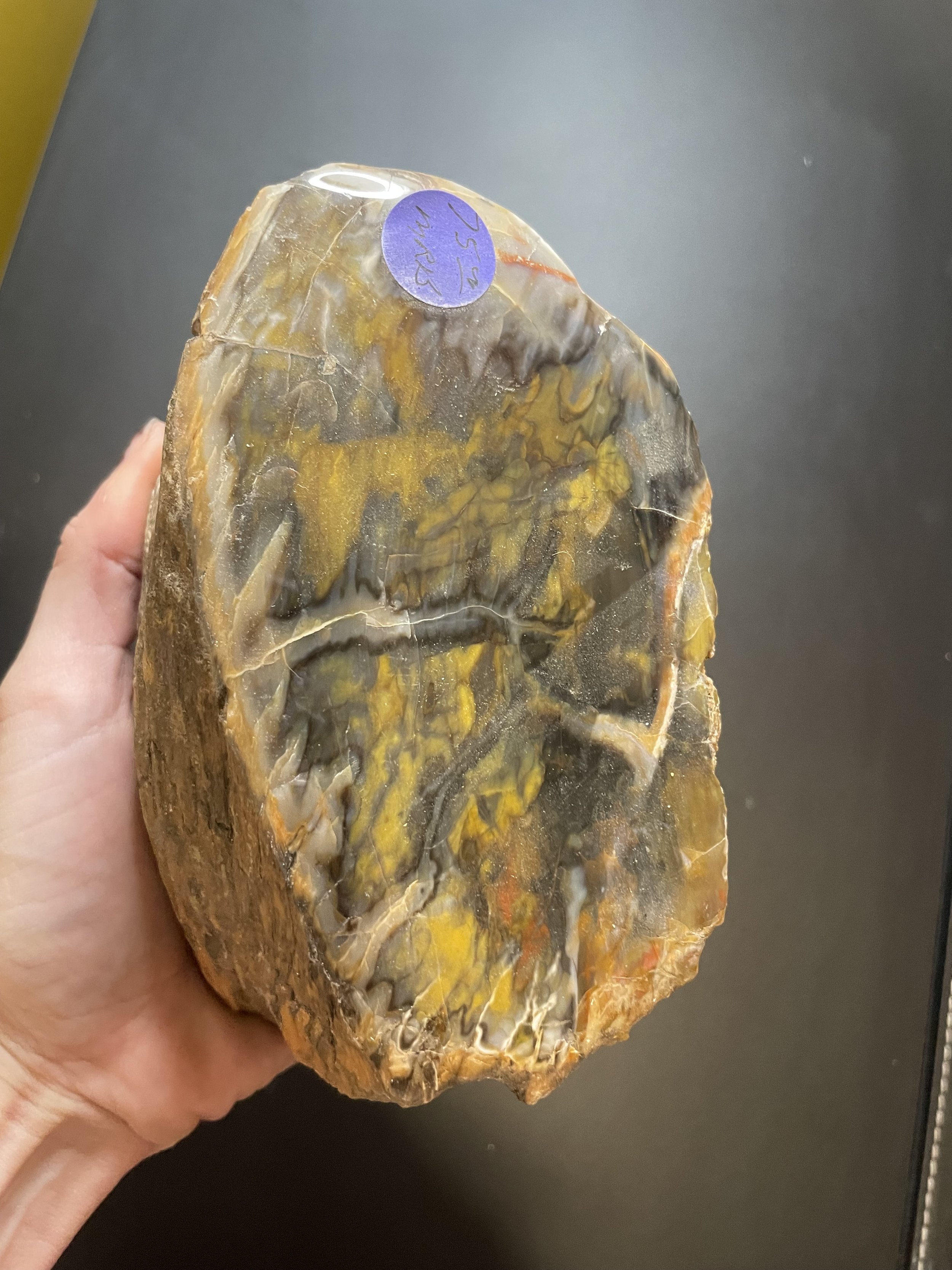 Nice Polished Henry Mountains Petrified Wood Specimen - Jurassic, Southern Utah