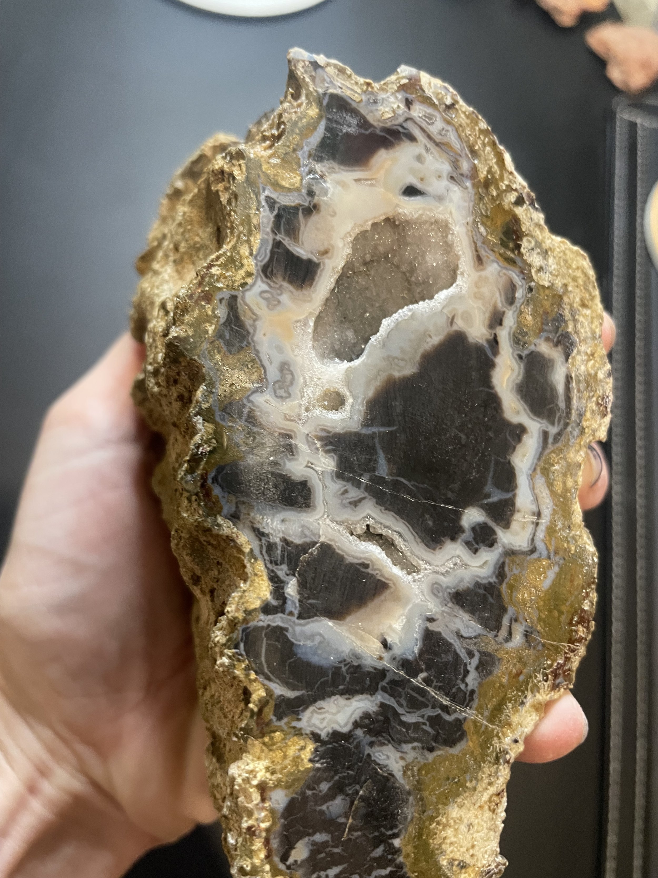 Beautiful Double Polished Henry Mountains Petrified Wood Specimen w/Druzy Crystal Pocket - Southern, UT