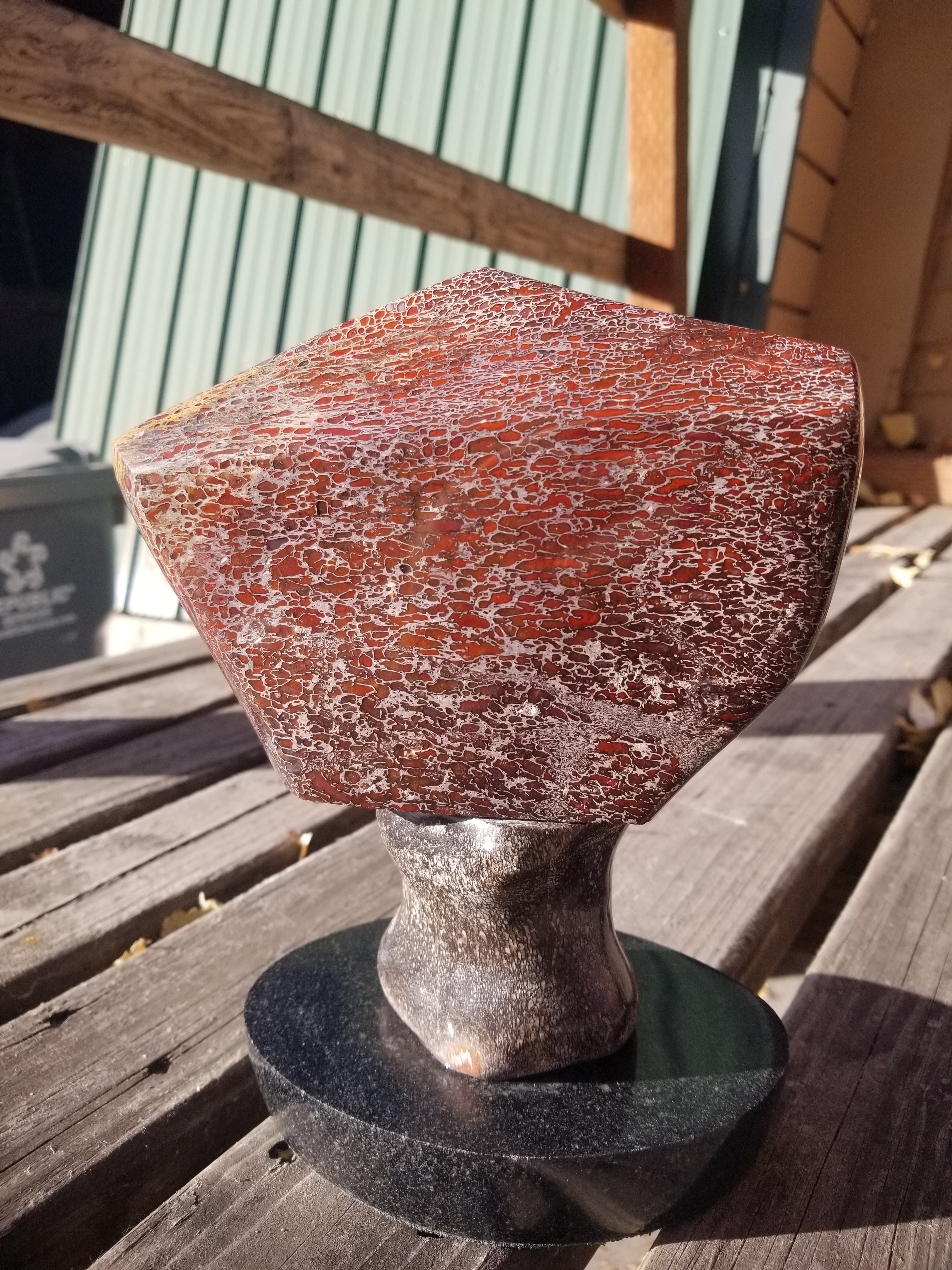 Amazing Hand Made Gem Bone Agatized Dinosaur Bone Polished Artist Artisan Display Piece 8LB