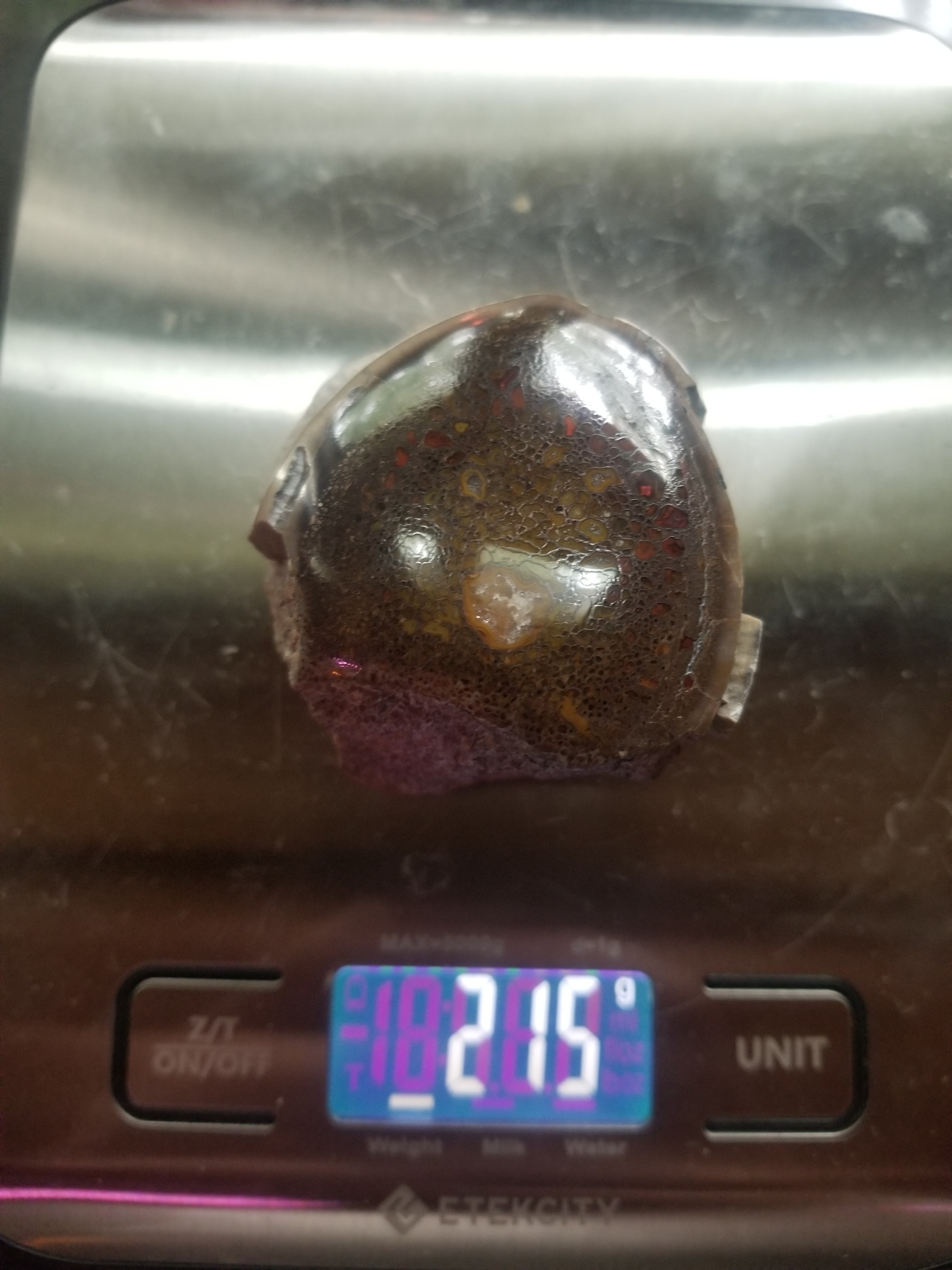 Amazing Unique Polished Large Cell Red/Yellow Agatized Jurassic Dinosaur Gem Bone Allosaurus Vert Specimen 215g