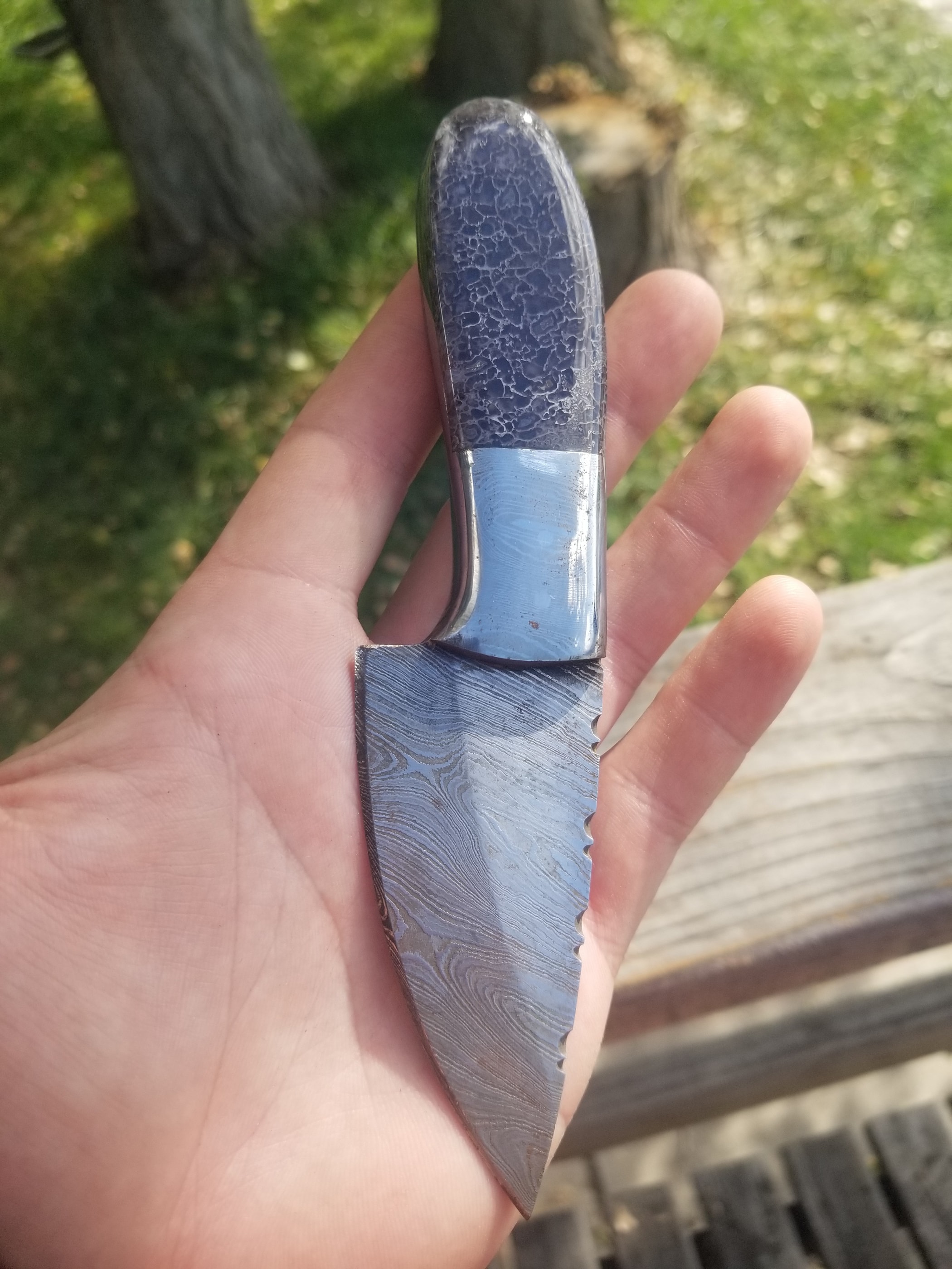 Spiderweb Dinosaur Gem Bone Handle Fixed Damascus Hunting Knife - 3" Blade x 3.5" Handle