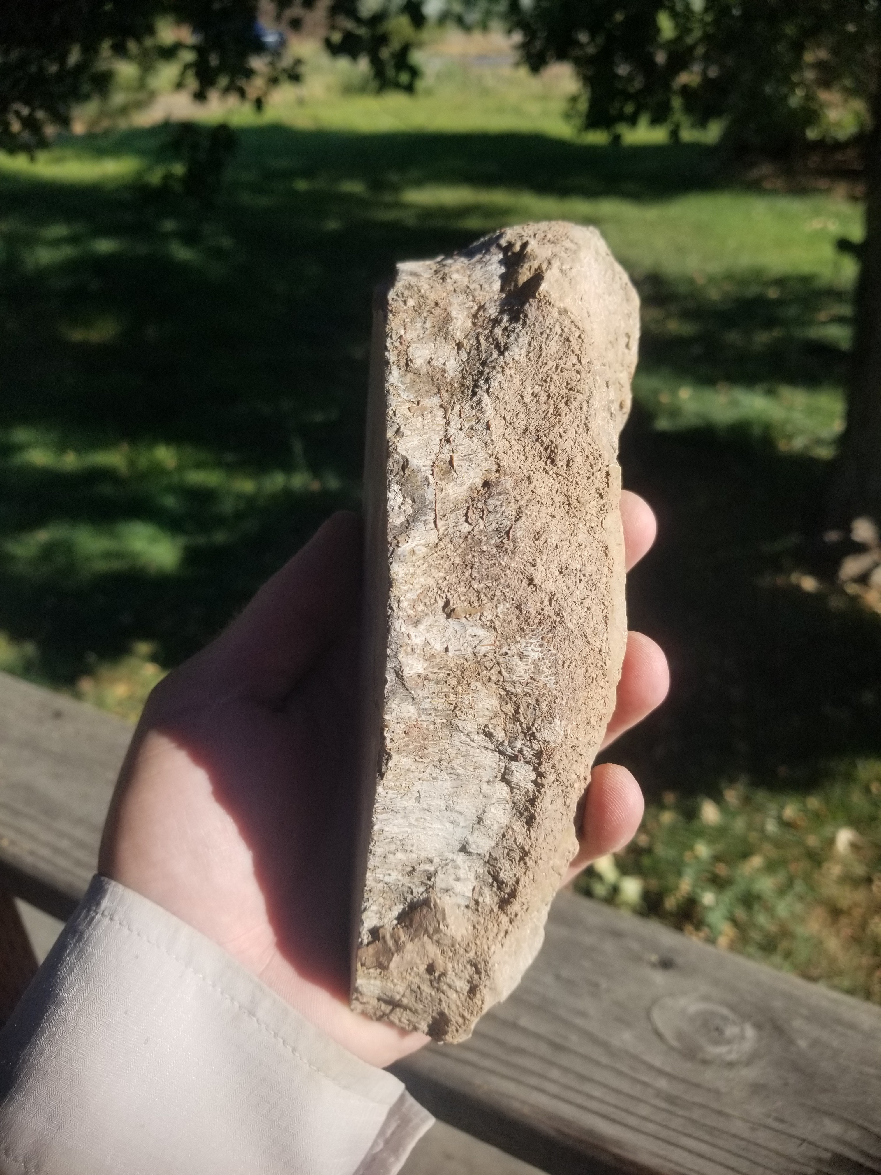 Beautiful Agatized Dinosaur Gem Bone Deep Red Multicolor Natural Specimen Rough/Unpolished 2.5Lb