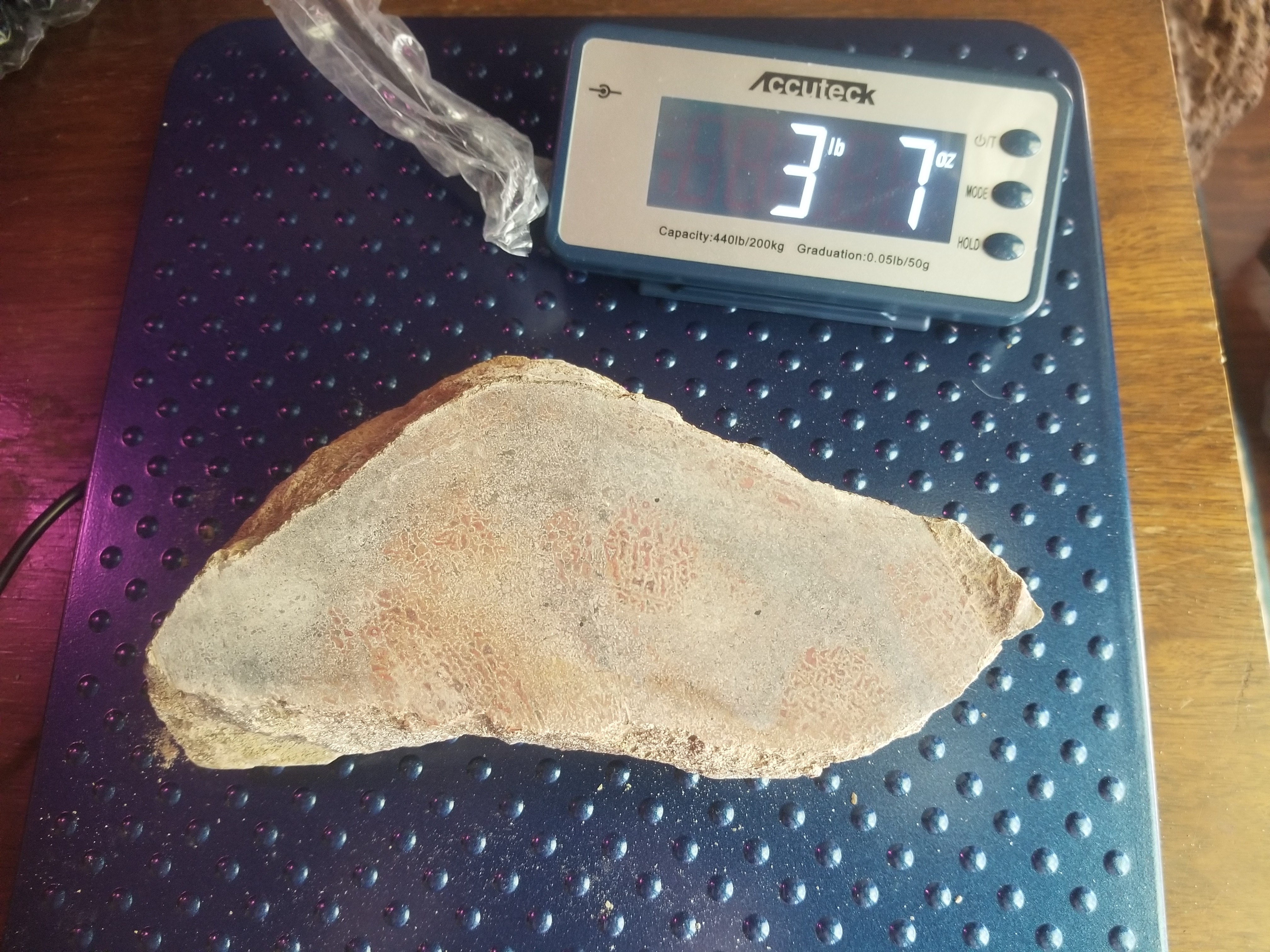 Beautiful Agatized Dinosaur Gem Bone Deep Red Multicolor Natural Specimen Rough/Unpolished 3.5Lb