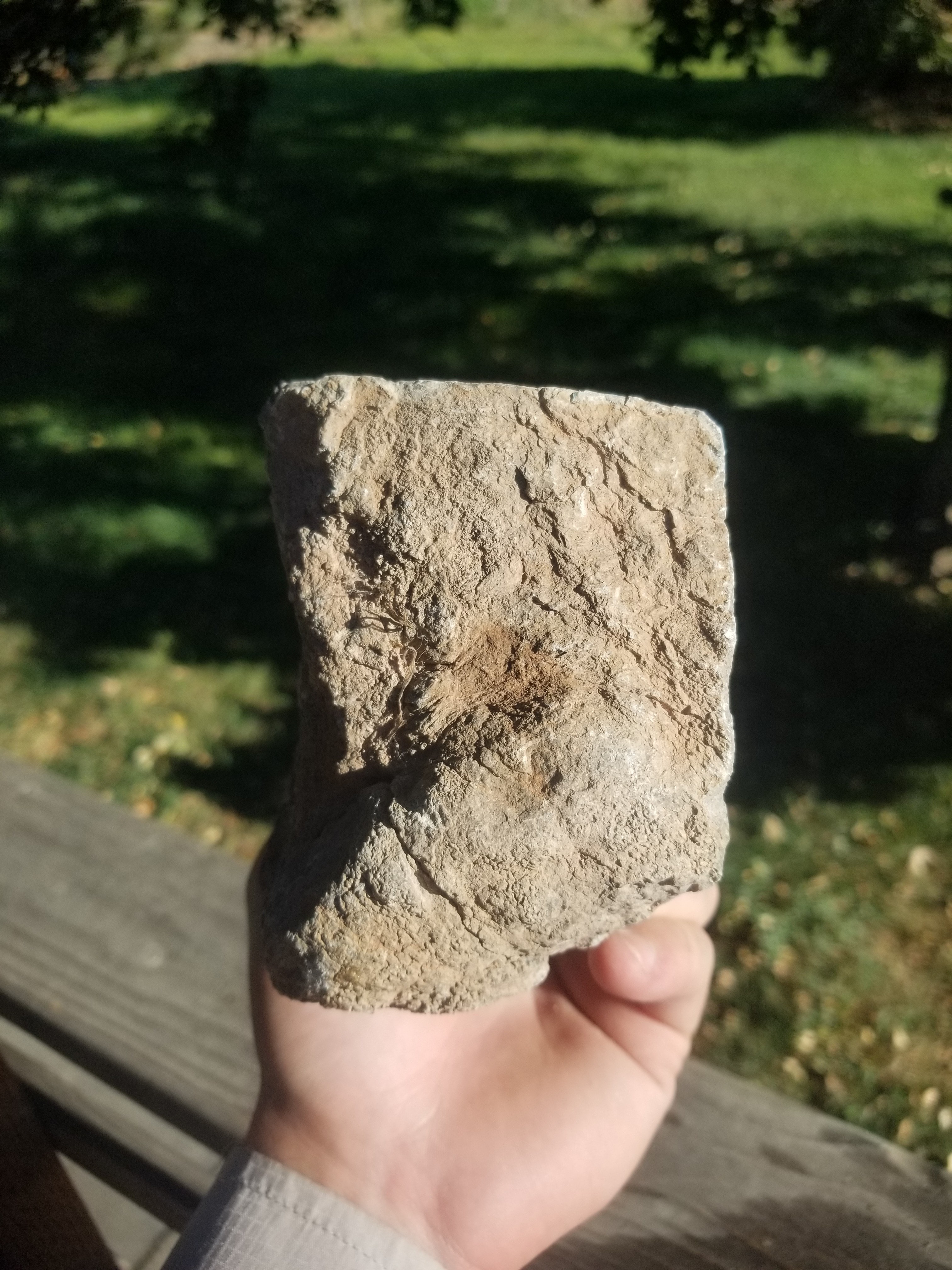 Great Agatized Dinosaur Gem Bone Multicolor Natural Specimen Calcite Rough/Unpolished 4.5Lb