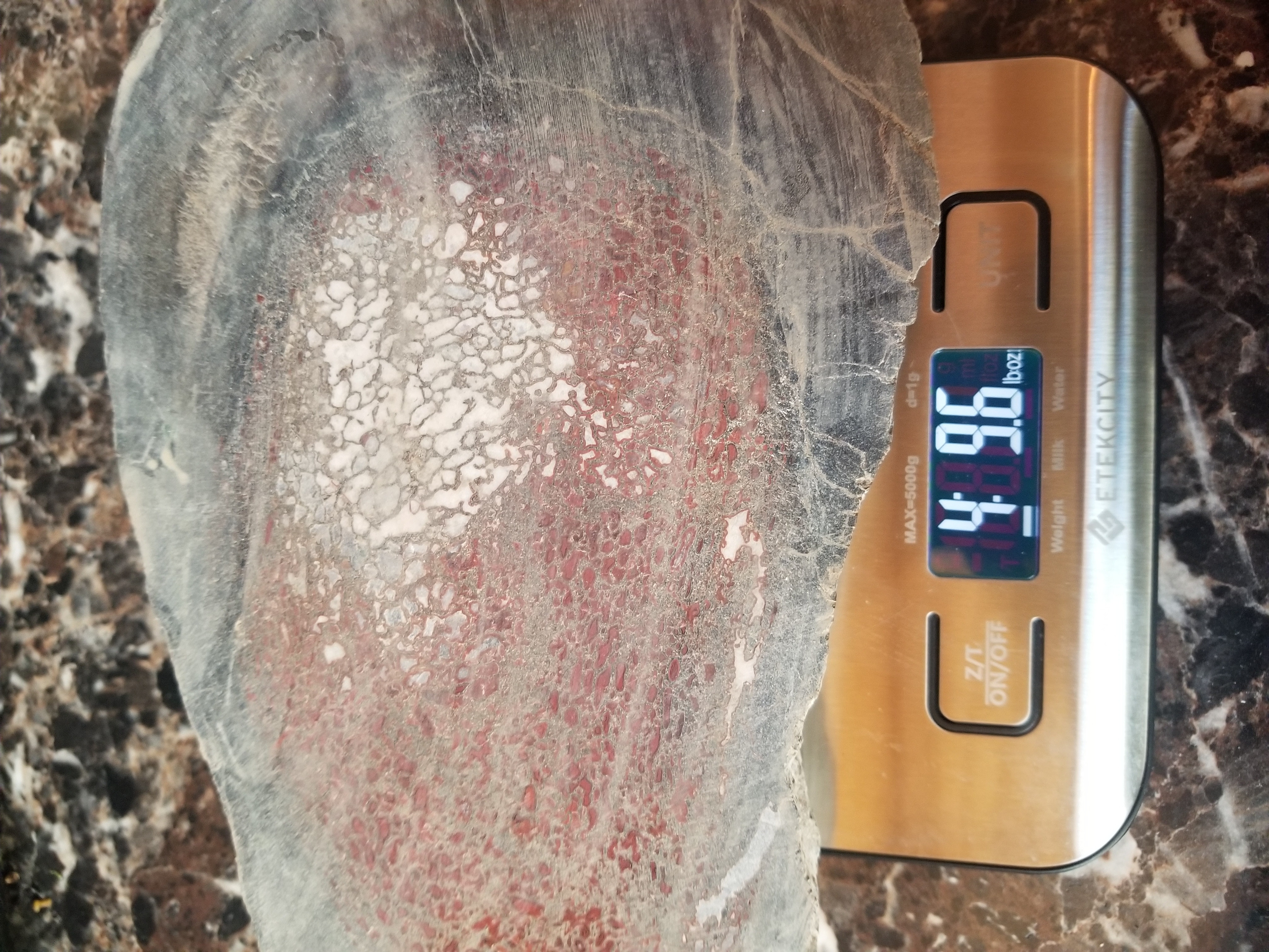Beautiful Agatized Dinosaur Gem Bone Red White Large Cell Natural Specimen Unpolished 4.5Lb 8x5"