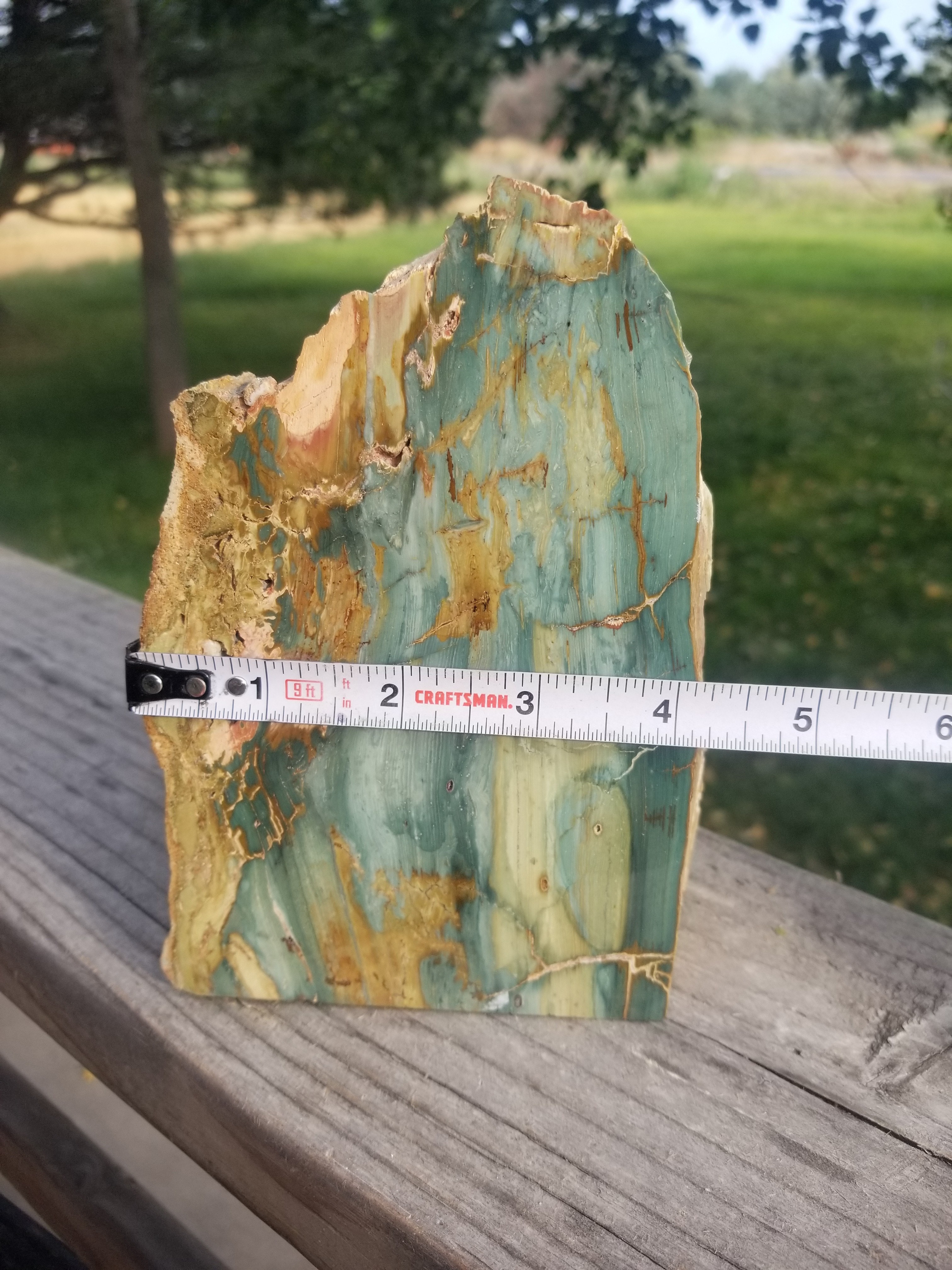 Beautiful Gary Green Jasper (Larsonite) Polished Upright Specimen 3Lb