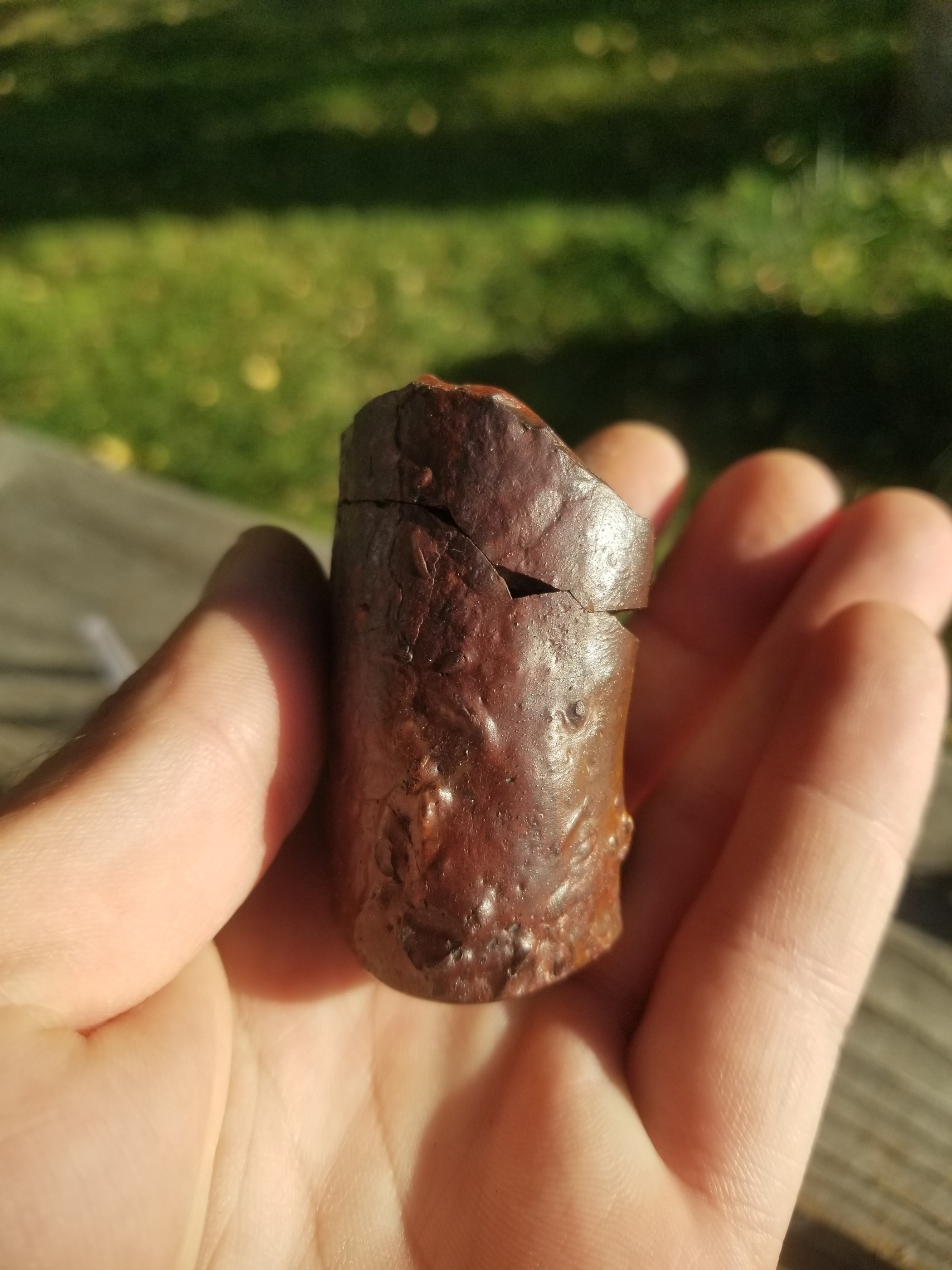 Polished Agatized Theropod Core Dinosaur Gem Bone Specimen 118g- Jurassic, CO