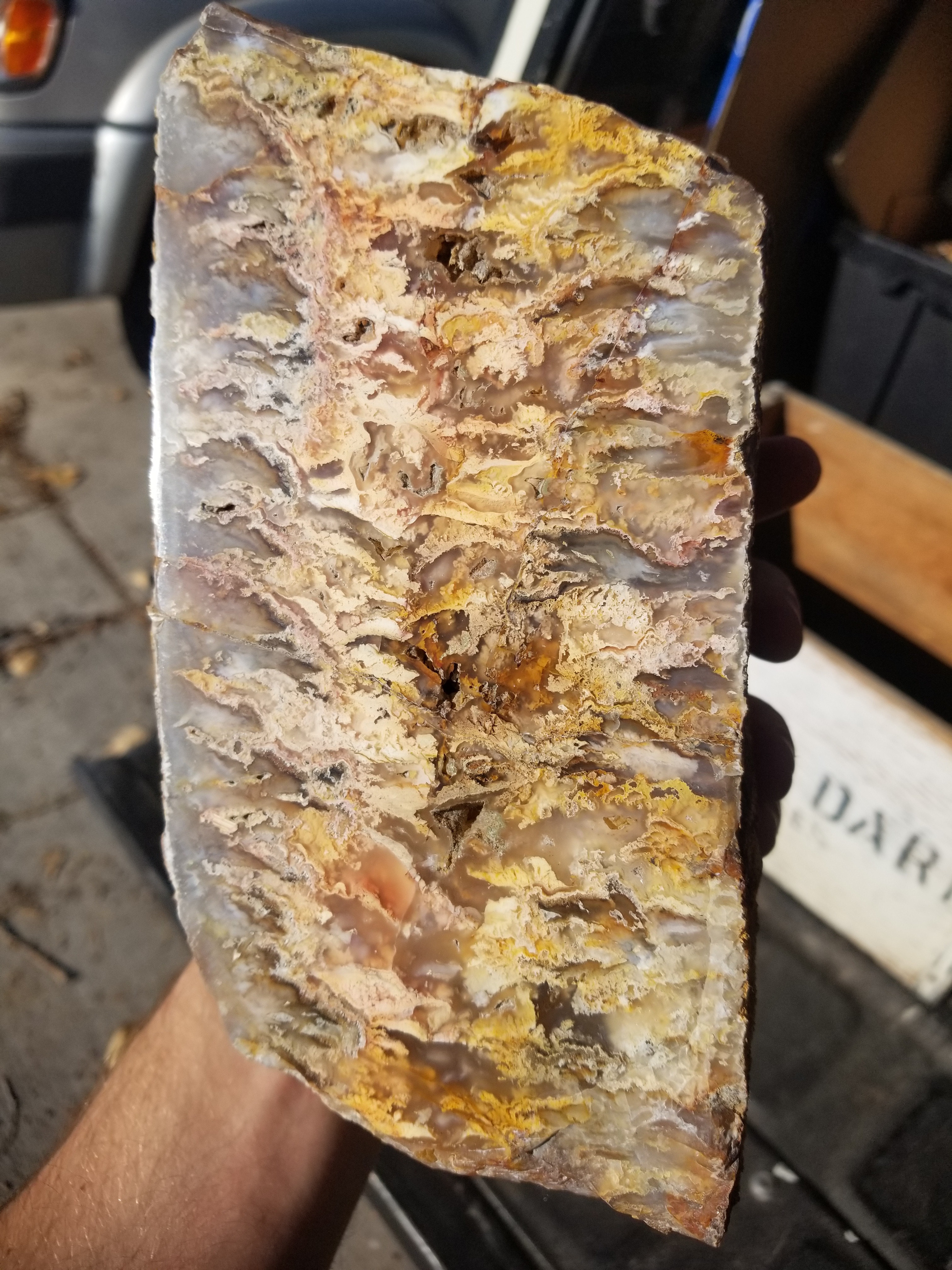 Incredible Huge Polished Graveyard Point Plume Moss Agate Specimen 8+Lb Owyhee Canyon