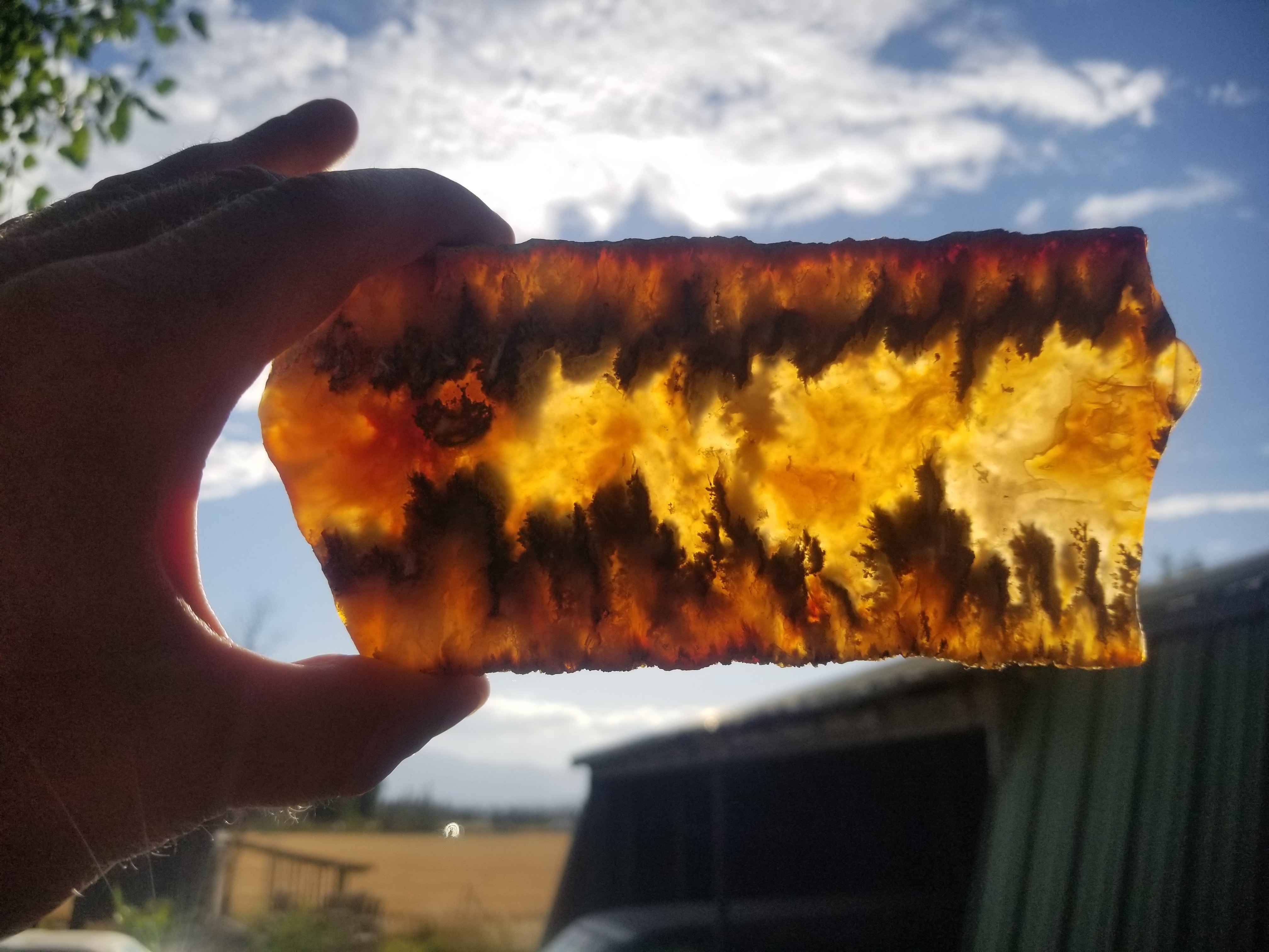 Beautiful Polished Graveyard Point Plume Moss Agate w/Pyrite Specimen Slab .5Lb 234g 6x3"