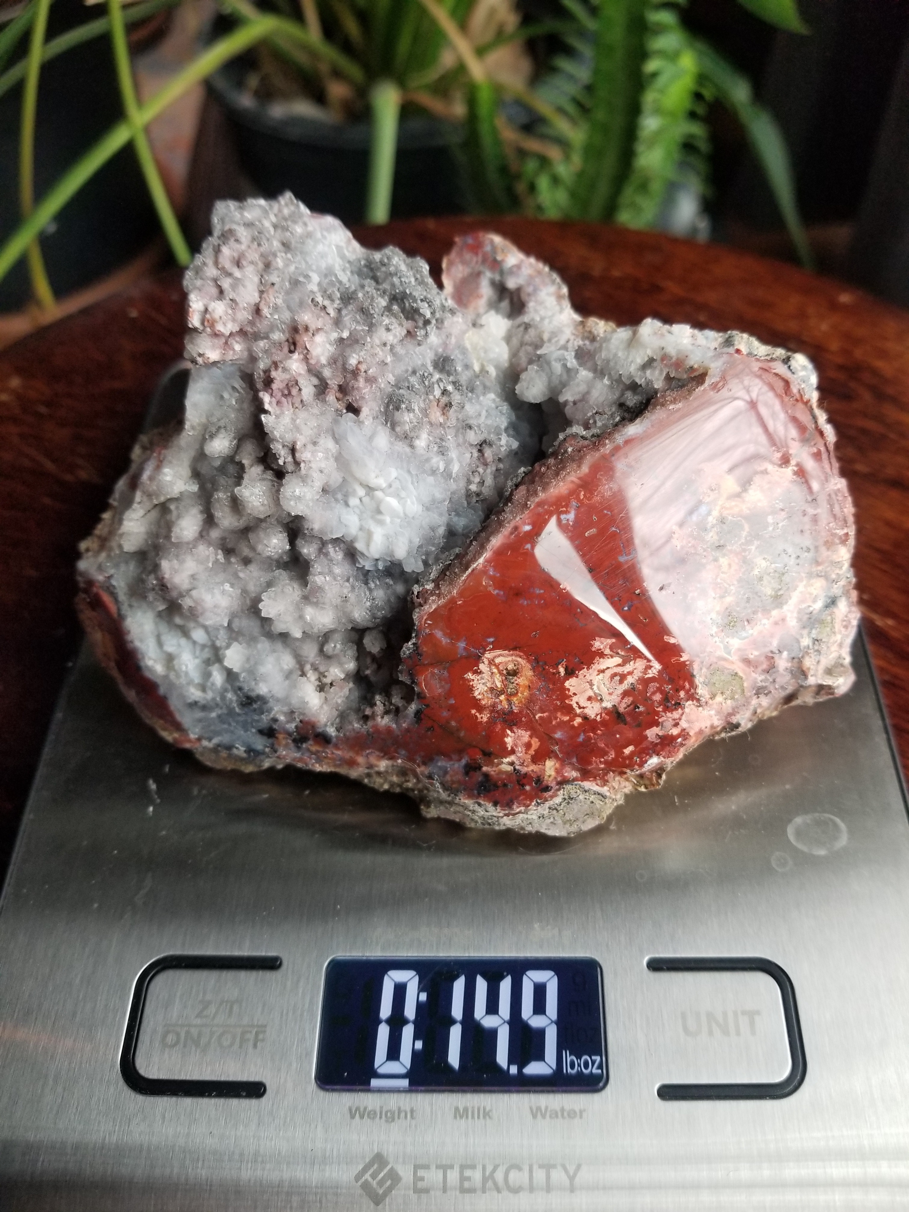 Beautiful Polished 4+" Indonesian Moss Agate Freeform With Big Druzy Pocket 15oz